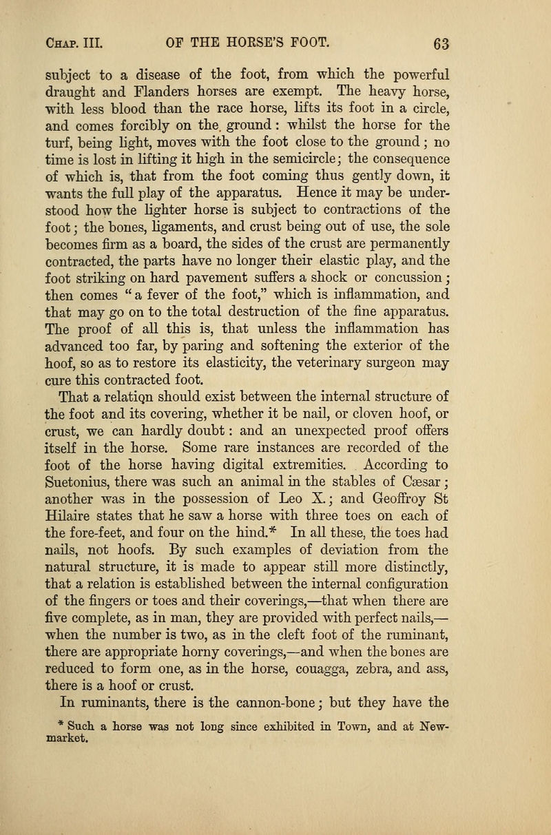 subject to a disease of the foot, from which the powerful draught and Flanders horses are exempt. The heavy horse, with less blood than the race horse, lifts its foot in a circle, and comes forcibly on the. ground: whilst the horse for the turf, being light, moves with the foot close to the ground; no time is lost in lifting it high in the semicircle; the consequence of which is, that from the foot coming thus gently down, it wants the full play of the apparatus. Hence it may be under- stood how the lighter horse is subject to contractions of the foot; the bones, ligaments, and crust being out of use, the sole becomes firm as a board, the sides of the crust are permanently contracted, the parts have no longer their elastic play, and the foot striking on hard pavement suffers a shock or concussion; then comes  a fever of the foot, which is inflammation, and that may go on to the total destruction of the fine apparatus. The proof of all this is, that unless the inflammation has advanced too far, by paring and softening the exterior of the hoof, so as to restore its elasticity, the veterinary surgeon may cure this contracted foot. That a relation should exist between the internal structure of the foot and its covering, whether it be nail, or cloven hoof, or crust, we can hardly doubt: and an unexpected proof offers itself in the horse. Some rare instances are recorded of the foot of the horse having digital extremities. According to Suetonius, there was such an animal in the stables of Caesar; another was in the possession of Leo X.; and Geoffroy St Hilaire states that he saw a horse with three toes on each of the fore-feet, and four on the hind.* In all these, the toes had nails, not hoofs. By such examples of deviation from the natural structure, it is made to appear still more distinctly, that a relation is established between the internal configuration of the fingers or toes and their coverings,—that when there are five complete, as in man, they are provided with perfect nails,— when the number is two, as in the cleft foot of the ruminant, there are appropriate horny coverings,—and when the bones are reduced to form one, as in the horse, couagga, zebra, and ass, there is a hoof or crust. In ruminants, there is the cannon-bone; but they have the * Such a horse was not long since exhibited in Town, and at New- market.