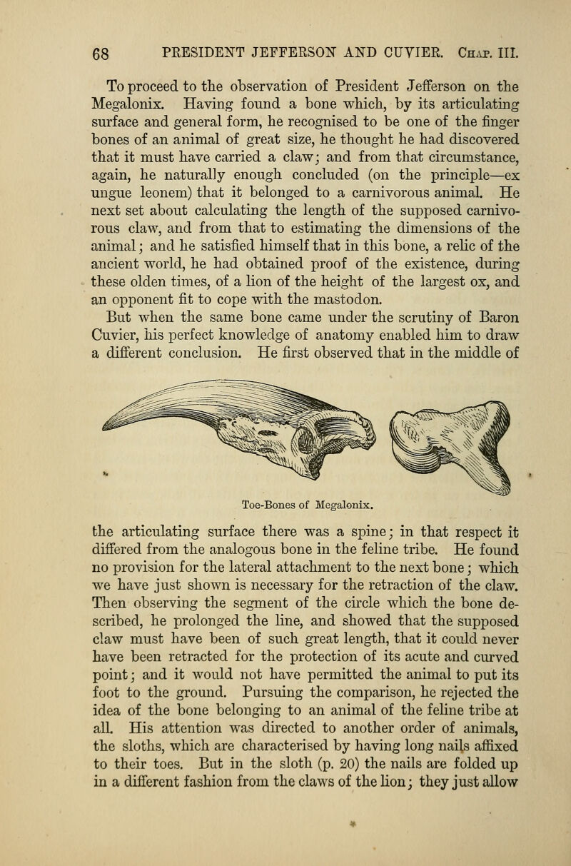 To proceed to the observation of President Jefferson on the Megalonix. Having found a bone which, by its articulating surface and general form, he recognised to be one of the finger bones of an animal of great size, he thought he had discovered that it must have carried a claw; and from that circumstance, again, he naturally enough concluded (on the principle—ex ungue leonem) that it belonged to a carnivorous animal. He next set about calculating the length of the supposed carnivo- rous claw, and from that to estimating the dimensions of the animal; and he satisfied himself that in this bone, a relic of the ancient world, he had obtained proof of the existence, during these olden times, of a lion of the height of the largest ox, and an opponent fit to cope with the mastodon. But when the same bone came under the scrutiny of Baron Cuvier, his perfect knowledge of anatomy enabled him to draw a different conclusion. He first observed that in the middle of Toe-Bones of Megalonix. the articulating surface there was a spine; in that respect it differed from the analogous bone in the feline tribe. He found no provision for the lateral attachment to the next bone; which we have just shown is necessary for the retraction of the claw. Then observing the segment of the circle which the bone de- scribed, he prolonged the line, and showed that the supposed claw must have been of such great length, that it could never have been retracted for the protection of its acute and curved point; and it would not have permitted the animal to put its foot to the ground. Pursuing the comparison, he rejected the idea of the bone belonging to an animal of the feline tribe at all. His attention was directed to another order of animals, the sloths, which are characterised by having long nails affixed to their toes. But in the sloth (p. 20) the nails are folded up in a different fashion from the claws of the lion; they just allow