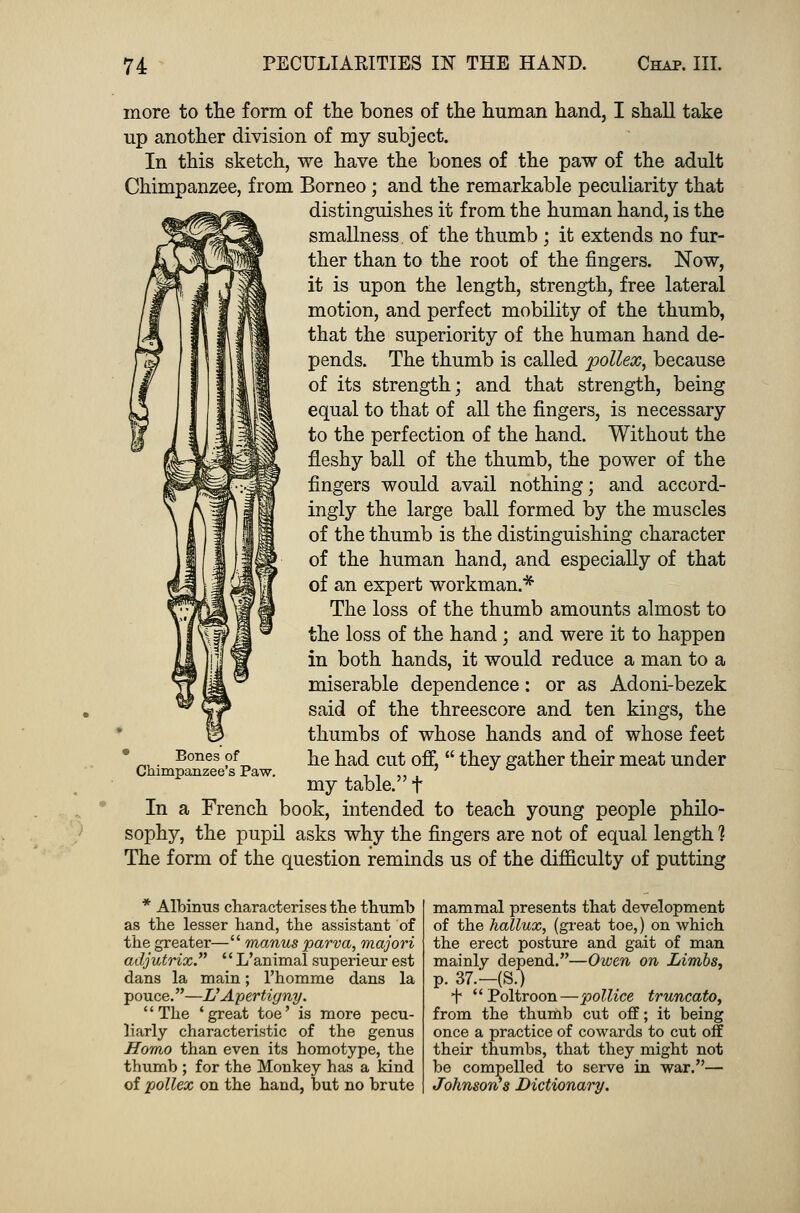 more to the form of the bones of the human hand, I shall take up another division of my subject. In this sketch, we have the bones of the paw of the adult Chimpanzee, from Borneo ; and the remarkable peculiarity that distinguishes it from the human hand, is the smallness. of the thumb ; it extends no fur- ther than to the root of the fingers. Now, it is upon the length, strength, free lateral motion, and perfect mobility of the thumb, that the superiority of the human hand de- pends. The thumb is called pollex, because of its strength; and that strength, being equal to that of all the fingers, is necessary to the perfection of the hand. Without the fleshy ball of the thumb, the power of the fingers would avail nothing; and accord- ingly the large ball formed by the muscles of the thumb is the distinguishing character of the human hand, and especially of that of an expert workman.* The loss of the thumb amounts almost to the loss of the hand ; and were it to happen in both hands, it would reduce a man to a miserable dependence: or as Adoni-bezek said of the threescore and ten kings, the thumbs of whose hands and of whose feet he had cut off,  they gather their meat under my table. t In a French book, intended to teach young people philo- sophy, the pupil asks why the fingers are not of equal length 1 The form of the question reminds us of the difficulty of putting Bones of Chimpanzee's Paw. * Albums characterises the thumb as the lesser hand, the assistant of the greater— manus parva, majori adjutrix. '' L'animal superieur est dans la main; l'homme dans la pouce.—L'Apertigny. '' The ' great toe' is more pecu- liarly characteristic of the genus Homo than even its homotype, the thumb ; for the Monkey has a kind of pollex on the hand, but no brute mammal presents that development of the hallux, (great toe,) on which the erect posture and gait of man mainly depend.—Owen on Limbs, p. 37.-(S.) f Poltroon—pollice truncato, from the thumb cut off; it being once a practice of cowards to cut off their thumbs, that they might not be compelled to serve in war.— Johnson s Dictionary.