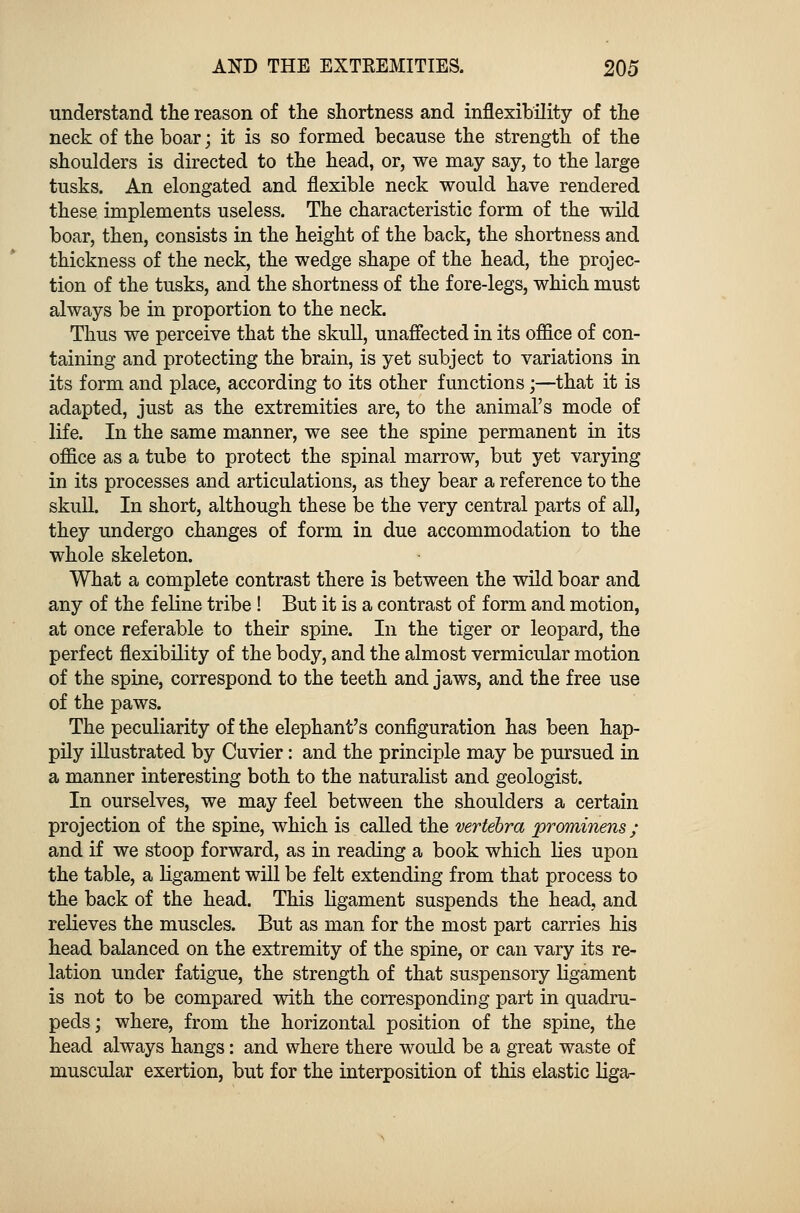 understand the reason of the shortness and inflexibility of the neck of the boar; it is so formed because the strength of the shoulders is directed to the head, or, we may say, to the large tusks. An elongated and flexible neck would have rendered these implements useless. The characteristic form of the wild boar, then, consists in the height of the back, the shortness and thickness of the neck, the wedge shape of the head, the projec- tion of the tusks, and the shortness of the fore-legs, which must always be in proportion to the neck. Thus we perceive that the skull, unaffected in its office of con- taining and protecting the brain, is yet subject to variations in its form and place, according to its other functions;—that it is adapted, just as the extremities are, to the animal's mode of life. In the same manner, we see the spine permanent in its office as a tube to protect the spinal marrow, but yet varying in its processes and articulations, as they bear a reference to the skull. In short, although these be the very central parts of all, they undergo changes of form in due accommodation to the whole skeleton. What a complete contrast there is between the wild boar and any of the feline tribe ! But it is a contrast of form and motion, at once referable to their spine. In the tiger or leopard, the perfect flexibility of the body, and the almost vermicular motion of the spine, correspond to the teeth and jaws, and the free use of the paws. The peculiarity of the elephant's configuration has been hap- pily illustrated by Cuvier: and the principle may be pursued in a manner interesting both to the naturalist and geologist. In ourselves, we may feel between the shoulders a certain projection of the spine, which is called the vertebra prominens; and if we stoop forward, as in reading a book which lies upon the table, a ligament will be felt extending from that process to the back of the head. This ligament suspends the head, and relieves the muscles. But as man for the most part carries his head balanced on the extremity of the spine, or can vary its re- lation under fatigue, the strength of that suspensory ligament is not to be compared with the corresponding part in quadru- peds; where, from the horizontal position of the spine, the head always hangs: and where there would be a great waste of muscular exertion, but for the interposition of this elastic liga-