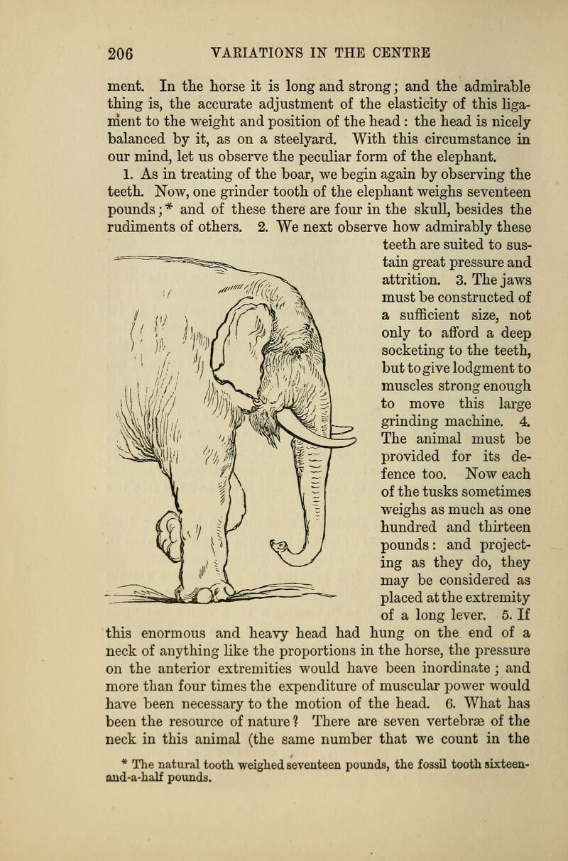 ment. In the horse it is long and strong; and the admirable thing is, the accurate adjustment of the elasticity of this liga- ment to the weight and position of the head : the head is nicely- balanced by it, as on a steelyard. With this circumstance in our mind, let us observe the peculiar form of the elephant. 1. As in treating of the boar, we begin again by observing the teeth. Now, one grinder tooth of the elephant weighs seventeen pounds; * and of these there are four in the skull, besides the rudiments of others. 2. We next observe how admirably these teeth are suited to sus- tain great pressure and attrition. 3. The jaws must be constructed of a sufficient size, not only to afford a deep socketing to the teeth, but to give lodgment to muscles strong enough to move this large grinding machine. 4. The animal must be provided for its de- fence too. Now each of the tusks sometimes weighs as much as one hundred and thirteen pounds: and project- ing as they do, they may be considered as placed at the extremity of a long lever. 5. If this enormous and heavy head had hung on the end of a neck of anything like the proportions in the horse, the pressure on the anterior extremities would have been inordinate; and more than four times the expenditure of muscular power would have been necessary to the motion of the head. 6. What has been the resource of nature ? There are seven vertebrae of the neck in this animal (the same number that we count in the * The natural tooth, weighed seventeen pounds, the fossil tooth sixteen- and-a-half pounds.