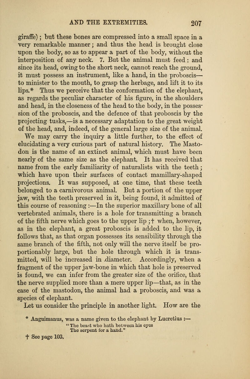 giraffe); but these bones are compressed into a small space in a very remarkable manner; and thus the head is brought close upon the body, so as to appear a part of the body, without the interposition of any neck. 7. But the animal must feed : and since its head, owing to the short neck, cannot reach the ground, it must possess an instrument, like a hand, in the proboscis— to minister to the mouth, to grasp the herbage, and lift it to its lips.* Thus we perceive that the conformation of the elephant, as regards the peculiar character of his figure, in the shoulders and head, in the closeness of the head to the body, in the posses- sion of the proboscis, and the defence of that proboscis by the projecting tusks,—is a necessary adaptation to the great weight of the head, and, indeed, of the general large size of the animal. We may carry the inquiry a little further, to the effect of elucidating a very curious part of natural history. The Masto- don is the name of an extinct animal, which must have been nearly of the same size as the elephant. It has received that name from the early familiarity of naturalists with the teeth; which have upon their surfaces of contact mamillary-shaped projections. It was supposed, at one time, that these teeth belonged to a carnivorous animal. But a portion of the upper jaw, with the teeth preserved in it, being found, it admitted of this course of reasoning :—In the superior maxillary bone of all vertebrated animals, there is a hole for transmitting a branch of the fifth nerve which goes to the upper lip ;t when, however, as in the elephant, a great proboscis is added to the lip, it follows that, as that organ possesses its sensibility through the same branch of the fifth, not only will the nerve itself be pro- portionably large, but the hole through which it is trans- mitted, will be increased in .diameter. Accordingly, when a fragment of the upper jaw-bone in which that hole is preserved is found, we can infer from the greater size of the orifice, that the nerve supplied more than a mere upper lip—that, as in the case of the mastodon, the animal had a proboscis, and was a species of elephant. Let us consider the principle in another light. How are the * Anguimanus, was a name given to the elephant by Lucretius :—  The beast who hath between his eyes The serpent for a hand. f See page 103.