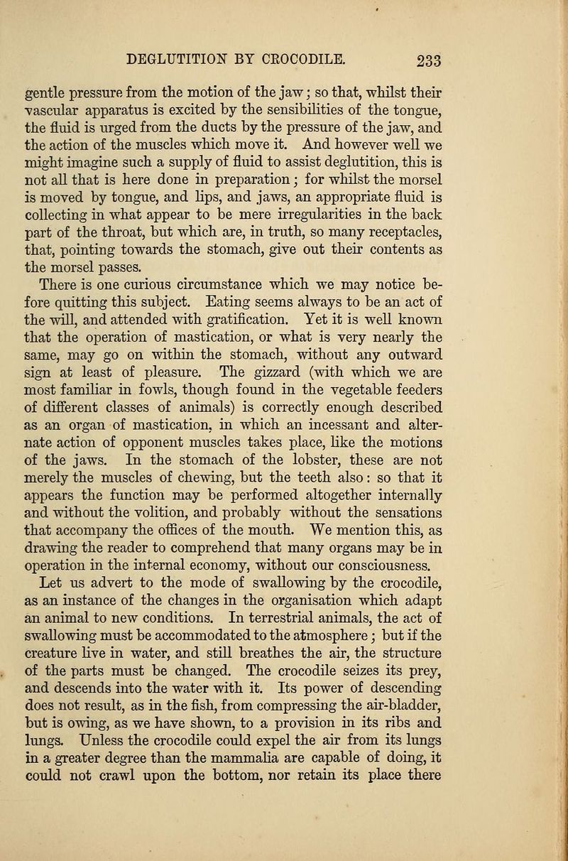 gentle pressure from the motion of the jaw; so that, whilst their ■vascular apparatus is excited by the sensibilities of the tongue, the fluid is urged from the ducts by the pressure of the jaw, and the action of the muscles which move it. And however well we might imagine such a supply of fluid to assist deglutition, this is not all that is here done in preparation; for whilst the morsel is moved by tongue, and lips, and jaws, an appropriate fluid is collecting in what appear to be mere irregularities in the back part of the throat, but which are, in truth, so many receptacles, that, pointing towards the stomach, give out their contents as the morsel passes. There is one curious circumstance which we may notice be- fore quitting this subject. Eating seems always to be an act of the will, and attended with gratification. Yet it is well known that the operation of mastication, or what is very nearly the same, may go on within the stomach, without any outward sign at least of pleasure. The gizzard (with which we are most familiar in fowls, though found in the vegetable feeders of different classes of animals) is correctly enough described as an organ of mastication, in which an incessant and alter- nate action of opponent muscles takes place, like the motions of the jaws. In the stomach of the lobster, these are not merely the muscles of chewing, but the teeth also: so that it appears the function may be performed altogether internally and without the volition, and probably without the sensations that accompany the offices of the mouth. We mention this, as drawing the reader to comprehend that many organs may be in operation in the internal economy, without our consciousness. Let us advert to the mode of swallowing by the crocodile, as an instance of the changes in the organisation which adapt an animal to new conditions. In terrestrial animals, the act of swallowing must be accommodated to the atmosphere; but if the creature live in water, and still breathes the air, the structure of the parts must be changed. The crocodile seizes its prey, and descends into the water with it. Its power of descending does not result, as in the fish, from compressing the air-bladder, but is owing, as we have shown, to a provision in its ribs and lungs. Unless the crocodile could expel the air from its lungs in a greater degree than the mammalia are capable of doing, it could not crawl upon the bottom, nor retain its place there