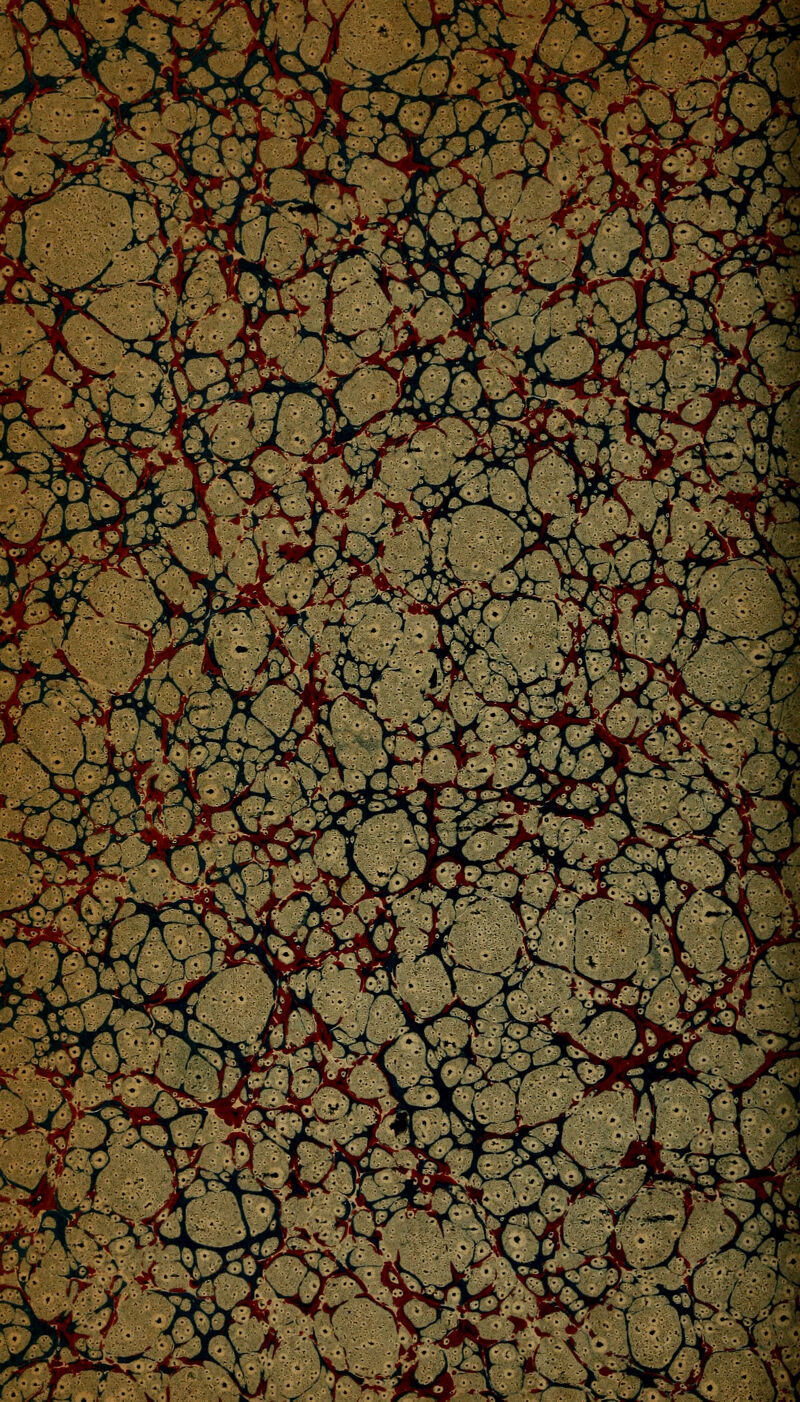 f^^LJfi^S^^^^^iSi-^y&t^ ^■«^ f^^^^^P P t y J^^^i^j^S^^y^^^^' v^ ^3 *%< '~\F>^£f'• >Jr9fi^^*^^ pM3