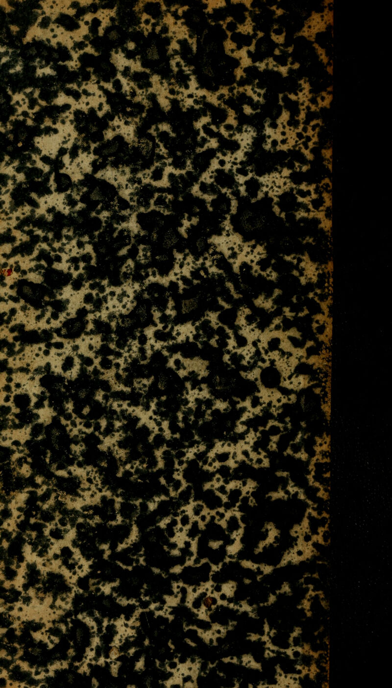 •r> ^ .^. >•< -^ <B- . '^- 'QHt,^- W% h^jt: ^ ^ 1^ IMm w *5 ^ ^- J^^