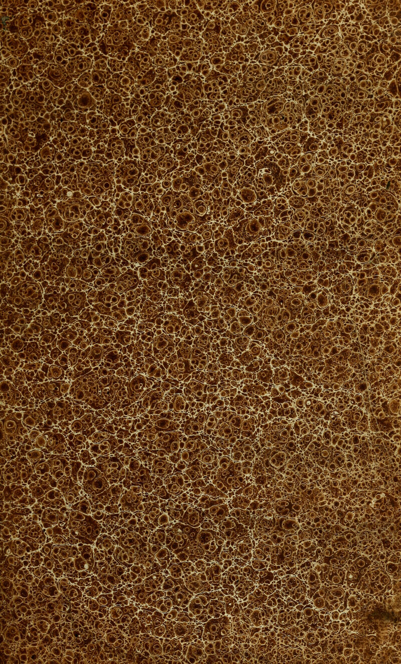 ?SJ': ^M^mk )k-.p^- -t^i~U-%^<j, ^■f^«3--4r .f^M-^f^^-^^i: