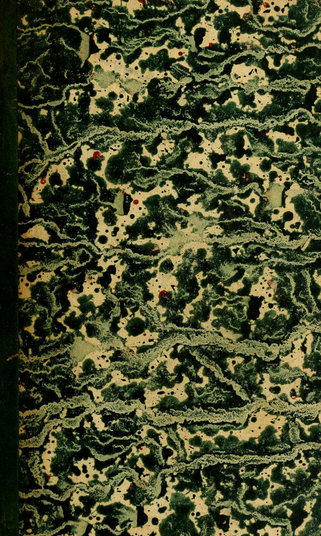 digitised image 1