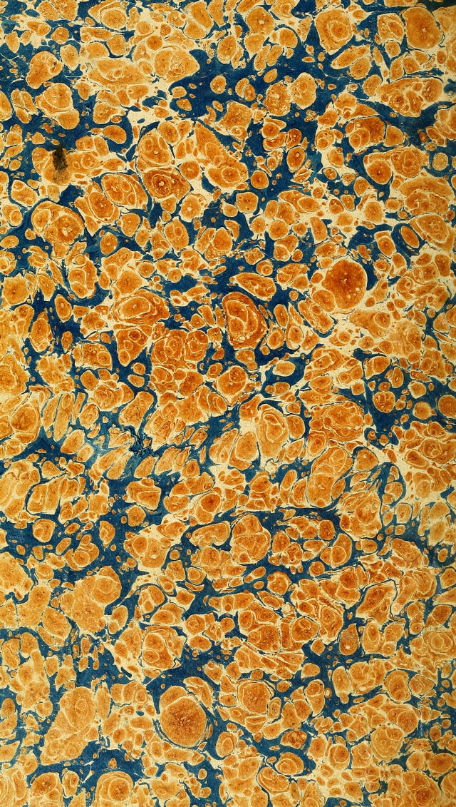 digitised image 2