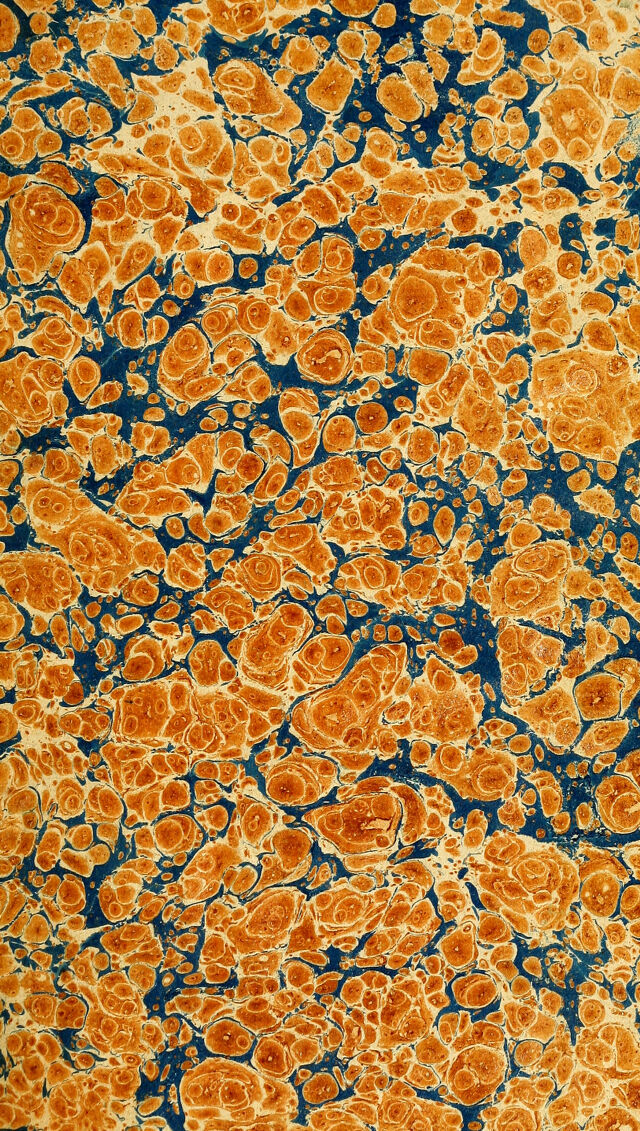 digitised image 3