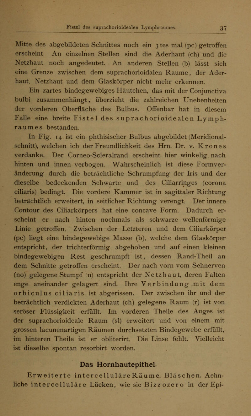 Mitte des abgebildeten Schnittes noch ein 3 tes mal (pc) getroffen erscheint. An einzelnen Stellen sind die Aderhaut (ch) und die Netzhaut noch angedeutet. An anderen Stellen (b) lässt sich eine Grenze zwischen dem suprachorioidalen Räume, der Ader- haut, Netzhaut und dem Glaskörper nicht mehr erkennen. Ein zartes bindegewebiges Häutchen, das mit der Conjunctiva bulbi zusammenhängt, überzieht die zahlreichen Unebenheiten der vorderen Oberfläche des Bulbus. Offenbar hat in diesem Falle eine breite Fistel des suprachorioidealen Lymph- raumes bestanden. In Fig. 14 ist ein phthisischer Bulbus abgebildet (Meridional- schnitt), welchen ich der Freundlichkeit des Hrn. Dr. v. Krones verdanke. Der Corneo-Scleralrand erscheint hier winkelig nach hinten und innen verbogen. Wahrscheinlich ist diese Formver- änderung durch die beträchtliche Schrumpfung der Iris und der dieselbe bedeckenden Schwarte und des Ciliarrmges (corona ciliaris) bedingt. Die vordere Kammer ist in sagittaler Richtung beträchtlich erweitert, in seitlicher Richtung verengt. Der innere Contour des Ciliarkörpers hat eine concave Form. Dadurch er- scheint er nach hinten nochmals als schwarze wellenförmige Linie getroffen. Zwischen der Letzteren und dem Ciliarkörper (pc) liegt eine bindegewebige Masse (b), welche dem Glaskörper entspricht, der trichterförmig abgehoben und auf einen kleinen bindegewebigen Rest geschrumpft ist, dessen Rand-Theil an dem Schnitte getroffen erscheint. Der nach vorn vom Sehnerven (no) gelegene Stumpf (n) entspricht der Netzhaut, deren Falten enge aneinander gelagert sind. Ihre Verbindung mit dem orbiculus ciliaris ist abgerissen. Der zwischen ihr und der beträchtlich verdickten Aderhaut (ch) gelegene Raum (r) ist von seröser Flüssigkeit erfüllt. Im vorderen Theile des Auges ist der suprachorioideale Raum (sl) erweitert und von einem mit grossen lacunenartigen Räumen durchsetzten Bindegewebe erfüllt, im hinteren Theile ist er obliterirt. Die Linse fehlt. Vielleicht ist dieselbe spontan resorbirt worden. Das Hornhautepithel. Erweiterte intereelluläreRäume. Bläschen. Aehn- liche intercelluläie Lücken, wie sie Bizzozero in der Epi-