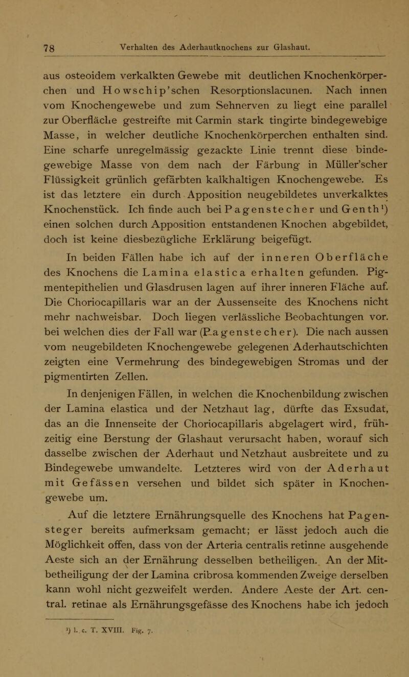 aus osteoidem verkalkten Gewebe mit deutlichen Knochenkörper- chen und Ho wschip'schen Resorptionslacunen. Nach innen vom Knochengewebe und zum Sehnerven zu liegt eine parallel zur Oberfläche gestreifte mit Carmin stark tingirte bindegewebige Masse, in welcher deutliche Knochenkörperchen enthalten sind. Eine scharfe unregelmässig gezackte Linie trennt diese binde- gewebige Masse von dem nach der Färbung in Müller'scher Flüssigkeit grünlich gefärbten kalkhaltigen Knochengewebe. Es ist das letztere ein durch Apposition neugebildetes unverkalktes Knochenstück. Ich finde auch bei Pagenste eher undGenth1) einen solchen durch Apposition entstandenen Knochen abgebildet, doch ist keine diesbezügliche Erklärung beigefügt. In beiden Fällen habe ich auf der inneren Oberfläche des Knochens die La min a elastica erhalten gefunden. Pig- mentepithelien und Glasdrusen lagen auf ihrer inneren Fläche auf. Die Choriocapillaris war an der Aussenseite des Knochens nicht mehr nachweisbar. Doch liegen verlässliche Beobachtungen vor. bei welchen dies der Fall war (P.agenstecher). Die nach aussen vom neugebildeten Knochengewebe gelegenen Aderhautschichten zeigten eine Vermehrung des bindegewebigen Stromas und der pigmentirten Zellen. In denjenigen Fällen, in welchen die Knochenbildung zwischen der Lamina elastica und der Netzhaut lag, dürfte das Exsudat, das an die Innenseite der Choriocapillaris abgelagert wird, früh- zeitig eine Berstung der Glashaut verursacht haben, worauf sich dasselbe zwischen der Aderhaut und Netzhaut ausbreitete und zu Bindegewebe umwandelte. Letzteres wird von der Aderhaut mit Gefassen versehen und bildet sich später in Knochen- gewebe um. Auf die letztere Ernährungsquelle des Knochens hat Pagen- steger bereits aufmerksam gemacht; er lässt jedoch auch die Möglichkeit offen, dass von der Arteria centralis retinne ausgehende Aeste sich an der Ernährung desselben betheiligen. An der Mit- betheiligung der der Lamina cribrosa kommenden Zweige derselben kann wohl nicht gezweifelt werden. Andere Aeste der Art. cen- tral, retinae als Ernährungsgefässe des Knochens habe ich jedoch l) 1. c. T. XVIII. Fig. 7.