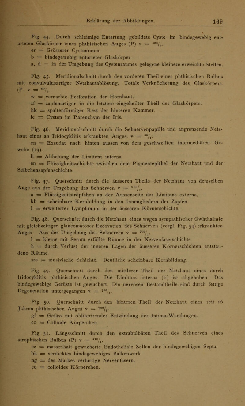Fig. 44. Durch schleimige Entartung gebildete Cyste im bindegewebig ent- arteten Glaskörper eines phthisischen Auges (P) v — 300/,. er = Grösserer Cystenraum. b — bindegewebig entarteter Glaskörper, a, d in der Umgebung des Cystenraumes gelegene kleineae erweichte Stellen. Fig. 45- Meridionalschnitt durch den vorderen Theil eines phthisischen Bulbus mit convulvulusartiger Netzhautablösung. Totale Verknöcherung des Glaskörpers. (P v = «»/,. w = vernarbte Perforation der Hornhaut. zf — zapfenartiger in die letztere eingeheilter Theil des Glaskörpers. hk = spaltenförmiger Rest der hinteren Kammer. ic = Cysten im Parenchym der Iris. Fig. 46. Meridionalschnitt durch die Sehnervenpapille und angrenzende Netz- haut eines an Iridocyklitis erkrankten Auges, v = 80/r en = Exsudat nach hinten aussen von dem geschwellten intermediären Ge- webe (19). li = Abhebung der Limitens interna. en — Flüssigkeitsschichte zwischen dem Pigmentepithel der Netzhaut und der Stäbchenzapfenschichte. Fig. 47. Querschnitt durch die äusseren Theile der Netzhaut von demselben Auge aus der Umgebung des Sehnerven v = 9°7i- a = Flüssigkeitströpfchen an der Aussenseite der Limitans externa, kb t= scheinbare Kernbildung in den Innengliedern der Zapfen. 1 = erweiterter Lymphraum in der äusseren Körnerschichte. Fig. 48. Querschnitt durch die Netzhaut eines wegen sympathischer Owhthalmie mit gleichzeitiger glaueomatöser Excavation des Sehnerven (vergl. Fig. 54) erkrankten Auges Aus der Umgebung des Sehnerven v = 200/1. 1 = kleine mit Serum erfüllte Räume in der Nervenfaserschichte h -= durch Verlust der inneren Lagen der äusseren Körnerschichten entstan- dene Räume. szs •= musivische Schichte. Deutliche scheinbare Kernbildung. Fig. 49- Querschnitt durch den mittleren Theil der Netzhaut eines durch Iridocyklitis phthisischen Auges. Die Limitans interna (li) ist ahgehoben Das bindegewebige Gerüste ist gewuchert. Die nervösen Bestandteile sind durch fettige Degeneiation untergegangen v = -00 ,. Fig. 50. Querschnitt durch den hinteren Theil der Netzhaut eines seit 16 Jahren phthisischen Auges v = '>on/,. gf = Gefäss mit ohliterirender Entzündung der Intima-Wandungen. co = Colloide Körperchen. Fig. 51. Längsschnitt durch den extrabulbären Theil des Sehnerven eines atrophischen Bulbus (P) v — 470/,. ez = massenhaft gewucherte Endotheliale Zellen der bindegewebigen Septa. bk = verdicktes bindegewebiges Balkenwerk, ng = des Markes verlustige Nervenfasern. co = colloides Körperchen.