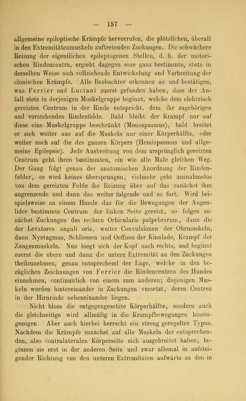 allgemeine epileptische Krämpfe hervorrufen, die plötzlichen, überall in den Extremitätenmuskeln auftretenden Zuckungen. Die schwächere Reizung der eigentlichen epileptogenen Stellen, d. h. der motori- schen Rindencentra, ergiebt dagegen eine ganz bestimmte, stets in derselben Weise sich vollziehende Entwickelung und Verbreitung der clonischen Krämpfe. Alle Beobachter erkennen an und bestätigen, was Ferrier und Luciani zuerst gefunden haben, dass der An- fall stets in derjenigen Muskelgruppe beginnt, welche dem elektrisch gereizten Centrum in der Rinde entspricht, dem ihr zugehörigen und vorstehenden Rindenfelde. Bald bleibt der Krampf nur auf diese eine Muskelgruppe beschränkt (Monospasmus), bald breitet er sich weiter aus auf die Muskeln nur einer Körperhälfte, oder weiter noch auf die des ganzen Körpers (Hemispasmus und allge- meine Epilepsie). Jede Ausbreitung von dem ursprünglich gereizten Centrum geht ihren bestimmten, ein wie alle Male gleichen Weg. Der Gang folgt genau der anatomischen Anordnung der Rinden- felder, es wird keines übersprungen, vielmehr geht ausnahmslos von dem gereizten Felde die Reizung über auf das zunächst ihm angrenzende und dann das weiter folgende und so fort. Wird bei- spielsweise an einem Hunde das für die Bewegungen der Augen- lider bestimmte. Centrum der linken Seite gereizt, so folgen zu- nächst Zuckungen des rechten Orbicularis palpebrarum, dann die der Levatores anguli oris, weiter Convulsionen der Ohrmuskeln, dann Nystagmus, Schliessen und Oeffnen der Kinnlade, Krampf der Zungenmuskeln. Nun biegt sich der Kopf nach rechts, und beginnt zuerst die obere und dann die untere Extremität an den Zuckungen theilzunehmen, genau entsprechend der Lage, welche in den be- züglichen Zeichnungen von Ferrier die Rindencentren des Hundes einnehmen, continuirlich von einem zum anderen; diejenigen Mus- keln werden hintereinander in Zuckungen versetzt, deren Centren in der Hirnrinde nebeneinander liegen. Nicht bloss die entgegengesetzte Körperhälfte, sondern auch die gleichseitige wird allmälig in die Krampfbewegungen hinein- gezogen. Aber auch hierbei herrscht ein streng geregelter Typus. Nachdem die Krämpfe zunächst auf alle Muskeln der entsprechen- den, also contralateralen Körperseite sich ausgebreitet haben, be- ginnen sie erst in der anderen Seite und zwar allemal in aufstei- gender Richtung von den unteren Extremitäten aufwärts zu den in