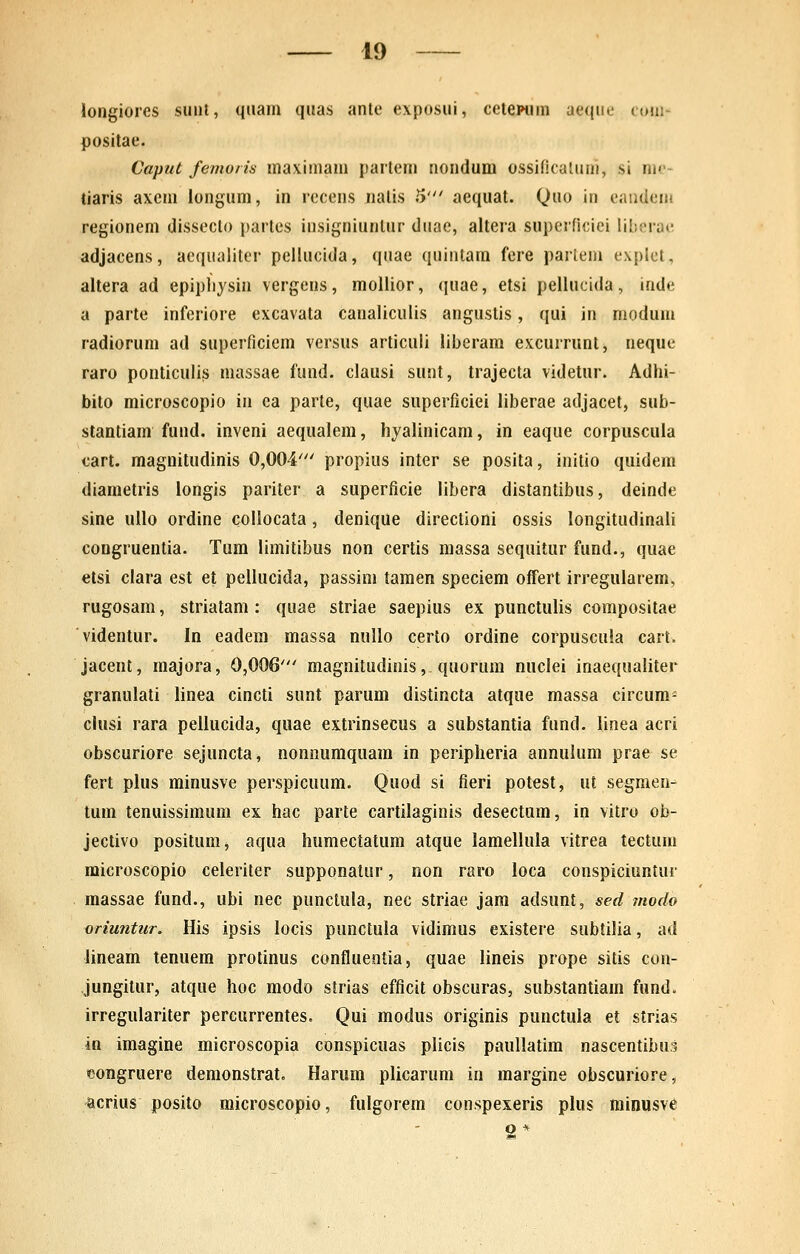 longiorcs suiu, qiiam quas anle exposui, eeteiHim aeqiu.' <oju- positae. Caput femo/is maximam partem nondum ossificalum, si me- tiaris axcm longum, in rccens nalis 5' aequat. Quo in eaiitiem regionem disseclo parles insigniunlur duae, altera superficiei liherae adjacens, aeqiiaiiter pellucida, ([uae quintam fere pailem explet, altera ad epipiiysin vergens, mollior, quae, etsi pellucida, inde a parte inferiore excavata canaliculis angustis, qui in modum radiorum ad superficiem versus articuli liberam excurrunt, neque raro ponticulis massae fund. clausi sunt, trajecta videtur. Adhi- bito microscopio in ea parte, quae superficiei liberae adjacet, sub- stantiam fund. inveni aequalem, hjalinicam, in eaque corpuscula cart. magnitudinis 0,004' propius inter se posita, initio quidera diametris longis pariter a superficie libera distantibus, deinde sine uUo ordine collocata, denique directioni ossis longitudinaii coogruentia. Tum limitibus non certis massa sequitur fund., quae etsi clara est et pellucida, passim tamen speciem offert irregularem, rugosam, striatam : quae strlae saepius ex punctulis compositae videntur. In eadem massa nullo certo ordine corpuscula cart. jacent, majora, 0,006' magnitudinis, quorum nuclei inaequaliter granulati hnea cincti sunt parum distincta atque massa circum- chisi rara pellucida, quae extrinsecus a substantia fund. linea acri obscuriore sejuncta, nonnumquam in peripheria annulum prae se fert plus minusve perspicuum. Quod si fieri potest, ut segmen- tum tenuissimum ex hac parte cartilaginis desectum, in vitro ob- jectivo positum^ aqua humectatum atque lamellula vitrea tectum microscopio celeriter supponatur, non raro loca conspiciuntur massae fund., ubi nec punctula, nec striae jara adsunt, sed jnodo oriuntitr. His ipsis locis punctula vidimus existere subtilia, ad lineam tenuem protinus confluentia, quae lineis prope sitis con- jungitur, atque hoc modo strias efficit obscuras, substantiam fund. irregulariter percurrentes. Qui modus originis punctula et strias in imagine microscopia conspicuas plicis paullatim nascentibus eongruere demonstrat, Harum plicarum in margine obscuriore, ^crius posito microscopio, fulgorem conspexeris plus minusve 2*