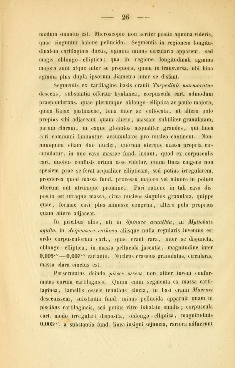 niodum siiiualus csl. Microscopio non acriter posilo agmina videris, «(uac cingunlur lialoiic pcllucido. Segmcnlis in regionem longitu- dinalcm cartilaginis ductis, agmina minus circulaiia apparent, sed magis oblongo - elliptica; qua in regione longitudinali agmina majora sunt atque intcr sc propiora, quam in transversa, ubi bina agmina plus dupla ipsorum diamctro intcr se distant. Scgmcnlis ex cartilagine basis cranii To/pedmis marmoralaK descctis, substantia oflertur hyalinica, corpuscula cart. admodum praepouderans, quae plerumque oblongo-elliptica ac paulo majora, quam Rajae pastinacae, bina inter se collocata, ut altero polo propius sibi adjaccant quam allero, massam subtiliter granulalam, paruni claram, in caquc globulos aequalilcr grandes, qui linea acri communi limilantur, accumulalos pro nucleo continent. Non- numquam eliam duo nuclci, quorum uterquc massa propria cir- cunidalur, in uno cavo massae fund. insunt, quod ex corpusculis cart. duobus confusis ortum csse videlur, quum linea cingens non spcciem prac sc ferat aequalitcr cllipticara, scd potius irregularem, propterca quod massa fund. processu majore vel minorc in polum alterum aut utrumque prominet. Pari ratione in tali cavo dis- posila cst utraquc massa, circa nucleos singulos granulata, quippc quac, forniac cavi plus minusvc congrua, altero polo proprius quam altero adjaceat. In piscibus aliis, uli in Spinace acanthia, in Myliobate aquila, in Acipensere rutheno aliisque nulla rcgularis invenlus est ordo corpusculorum cart., quac crant rara, inler se disjuncta, oblongo-clliptica, iu massa pellucida jaccntia, magnitudine inter 0,005' — 0,007' variante. Nucleus crassius granulatus, circularis, massa clara cinctus est. Perscrutatus deindc pisces osseos non aliler inveni confor- matas eorum carlilagincs. Quuin cnim scgmcnta cx massa carti- laginea, lamellis osseis tenuibus cincta, in basi cranii Macruri desecuissem, substantia fund. minus pellucida apparuit quam in piscibus cartilagineis, sed polius vitro inhalato similis; corpuscula cart. modo irregulari disposita, oblongo - elliptica, magnitudinis 0,005', a substanlia fund. linea insigni sejuncla, rariora adfuerunt