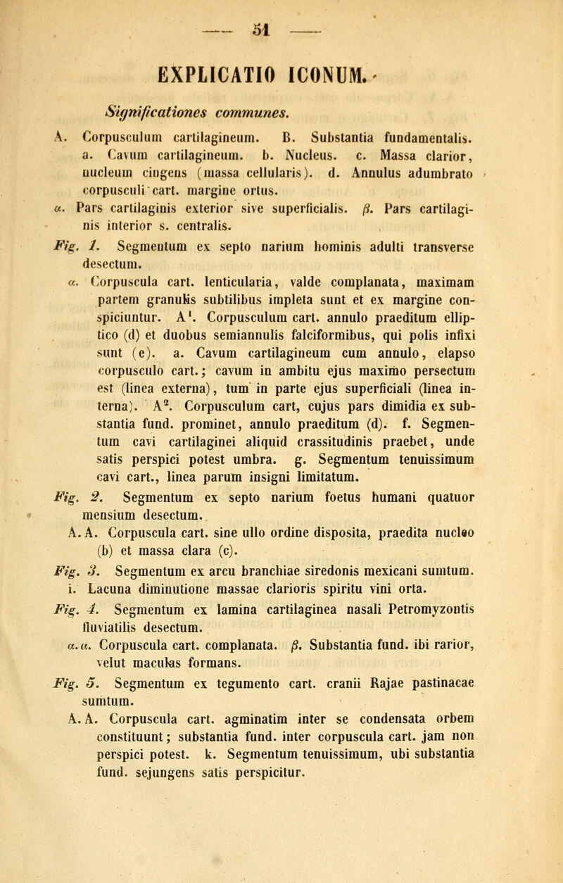 Sl EXPLICATIO ICONUM.- Significationes communes. A. Corpusculum cartilagineuin. B. Substantia fundamentalis. a. (^avum cartilagineum. b. Nucleus. c. Massa clarior, uucleum cingens (niassa cellularis). d. Annulus adumbrato corpusculi cart. margine ortus. «. Pars cartilaginis exterior sive superficialis. ft. Pars cartilagi- nis interior s. centralis. Fig. 1. Segmentum ex septo narium hominis adulti transverse desectum. «. (>orpuscula cart. lenticularia, valde complanata, maximam partem granuKs subtilibus impleta sunt et ex margine con- spiciuntur. A'. Corpusculum cart. annulo praeditum ellip- tico (d) et duobus semiannulis falciformibus, qui poiis infixi sunt (e). a. Cavum cartilagineum cum annulo, elapso corpusculo cart.; cavum in ambitu ejus maximo persectum est (linea externa), tum in parte ejus superficiali (linea in- terna). A*^. Corpusculura cart, cujus pars dimidia ex sub- stantia fund. prominet, annulo praeditum (d). f. Segmen- tum cavi cartilaginei aliquid crassitudinis praebet, unde satis perspici potest urabra. g. Segmentum tenuissimum cavi cart., linea parum insigni liraitatum. Fig. 2. Segmentum ex septo nariura foetus humani quatuor mensiura desectura. A.A. Corpuscula cart. sine uUo ordine disposita, praedita nucleo (b) et raassa clara (c). Fig. 3. Segmentum ex arcu branchiae siredonis raexicani suratura. i. Lacuna dirainutione massae clarioris spiritu vini orta. Fig. 4. Segraentum ex laraina cartilaginea nasali Petromyzontis fluviatilis desectum. a. u. Corpuscula cart. complanata. /S. Substantia fund. ibi rarior, velut macukis formans. Fig. 5. Segmentura ex teguraento cart. cranii Rajae pastinacae suiiitura. A.A. Corpuscula cart. agrainatim inter se condensata orbem constituunt; substantia fund. inter corpuscula cart. jam non perspici potest. k. Segmentum tenuissimura, ubi substantia fund. sejungens satis perspicitur.