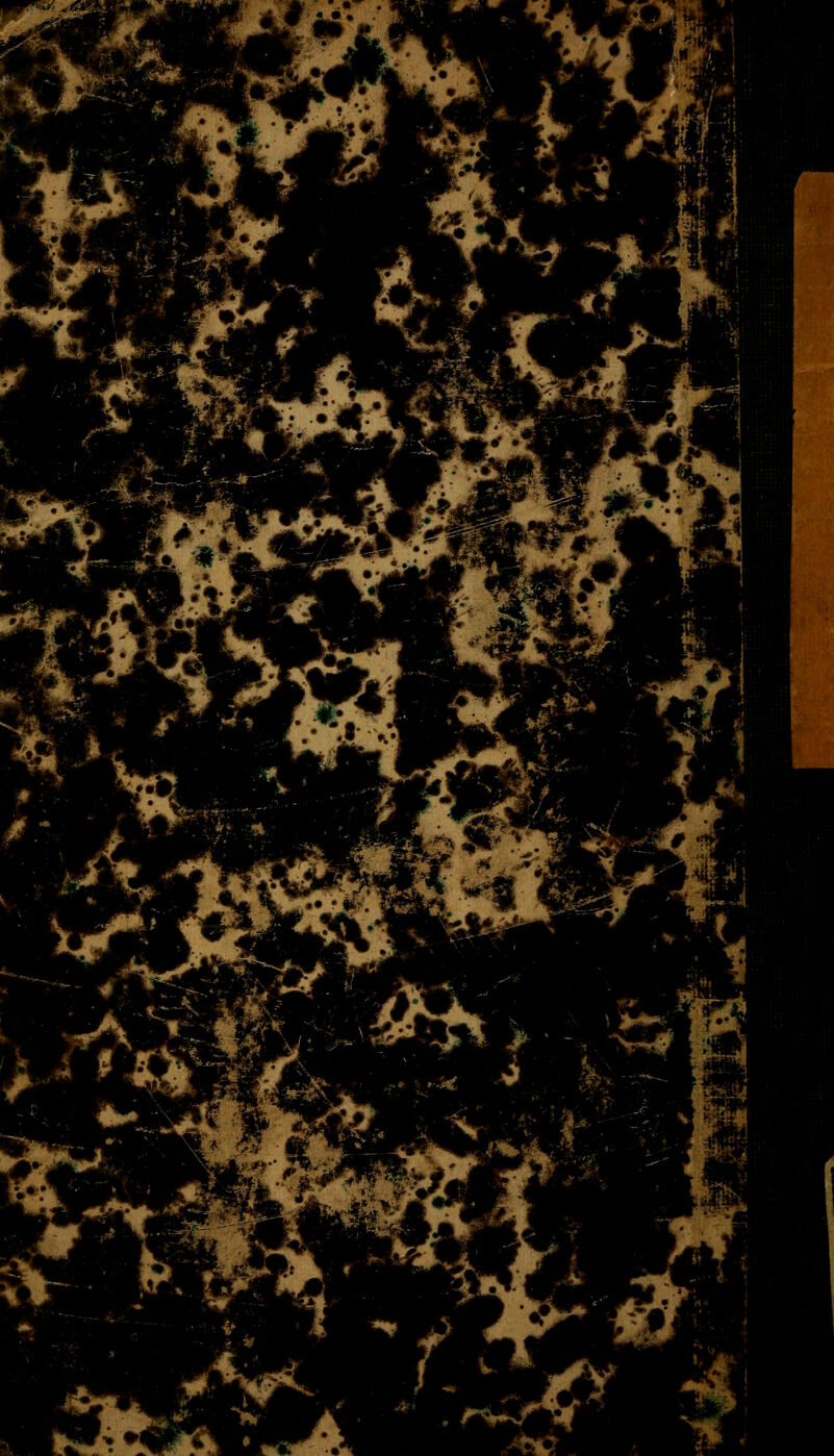 %^% ' A^- 1 -* /- -l^i^-i ■^M. T-l ^--^i •^ r%^