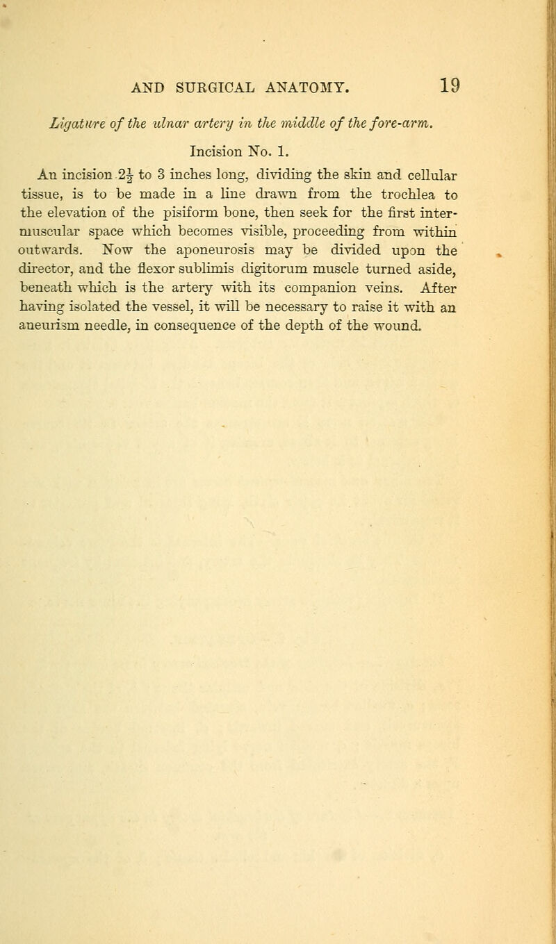 Ligature of the ulnar artery in the middle of the fore-arm. Incision No. 1. An incision 2|- to 3 inches long, dividing the skin and cellular tissue, is to be made in a line drawn from the trochlea to the elevation of the pisiform bone, then seek for the first inter- muscular space which becomes visible, proceeding from within outwards. Now the aponeurosis may be divided upon the du-ector, and the flexor sublimis digitorum muscle turned aside, beneath which is the artery with its companion veins. After having isolated the vessel, it will be necessary to raise it with an aneurism needle, in consequence of the depth of the wound.