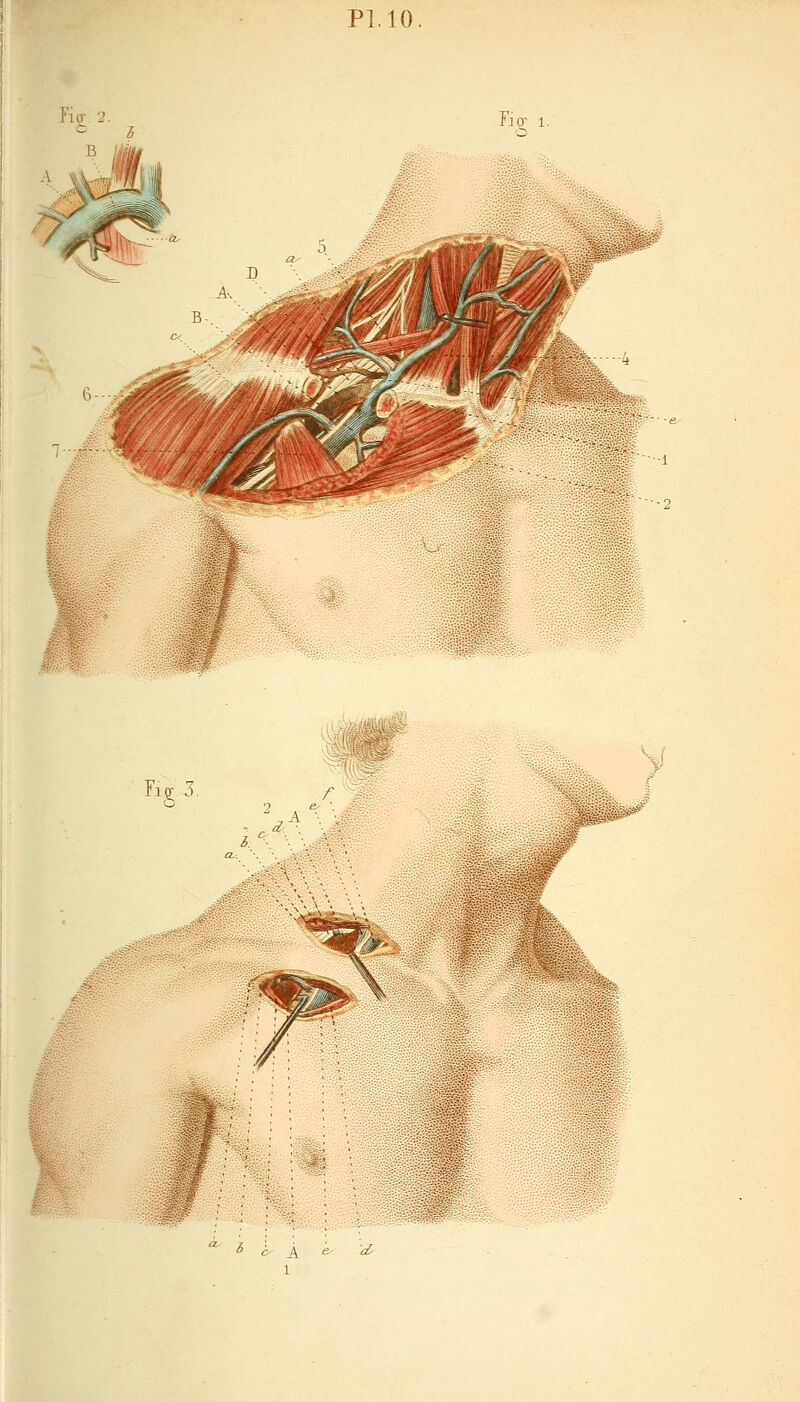 Fig; 2 Fig, 5. ^ A <5 ^