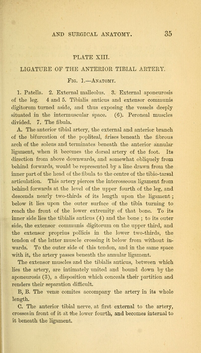 PLATE XIII. LIGATUEE OF THE ANTERIOR TIBIAL ARTERY. Fig. 1.—Anatomy. 1. Patella. 2. External malleolus. 3. External aponeurosis of the leg. 4 and 5. Tibialis anticus and extensor communis digitorum turned aside, and thus exposing the vessels deeply situated in the intermusciilar space. (6). Peroneal muscles divided. 7. The fibula. A. The anterior tibial artery, the external and anterior branch of the bifurcation of the popHteal, arises beneath the fibrous arch of the soleus and terminates beneath the anterior annular ligament, when it becomes the dorsal artery of the foot. Its direction from above downwards, and somewhat obliquely from behind forwards, would be represented by a line drawn from the inner part of the head of the fibula to the centre of the tibio-tarsal articulation. This artery pierces the interosseous ligament from behind forwards at the level of the upper fourth of the leg, and descends nearly two-thirds of its length upon the ligament; below it lies upon the outer surface of the tibia turning to reach the front of the lower extremity of that bone. To its inner side lies the tibialis anticus (4) and the bone ; to its outer side, the extensor communis digitorvim on the upper third, and the extensor proprius pollicis in the lower two-thirds, the tendon of the latter miiscle crossing it below from without in- wards. To the outer side of this tendon, and in the same space with it, the artery passes beneath the annular ligament. The extensor muscles and the tibialis adtieus, between which lies the artery, are intimately united and bound down by the aponeurosis (3), a disposition which conceals th^r partition and renders their separation difficult. B. B. The vense comites accompany the artery in its whole length. C. The anterior tibial nerve, at first external to the artery, crosses in front of it at i?he lower fourth, and becomes internal to it beneath the ligament.