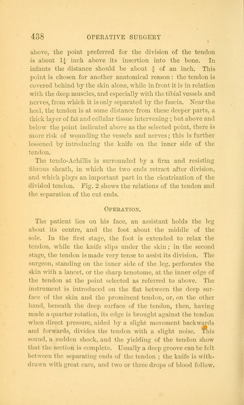 above, the point preferred for the division of the tendon is about 1^ inch above its insertion into the bone. In infants the distance should be about f of an inch. This point is chosen for another anatomical reason : the tendon is covered behind by the skin alone, while in front it is in relation with the deep muscles, and especially with the tibial vessels and nerves, from which it is only separated by the fascia. Near the heel, the tendon is at some distance from these deeper parts, a thick layer of fat and cellular tissue intervening ; but above and below the point indicated above as the selected point, there is more risk of wounding the vessels and nerves; this is further lessened by introducing the knife on the inner side of the tendon. The tendo-Achillis is surrounded by a firm and resisting fibrous sheath, in which the two ends retract after division, and which plays an important part in the cicatrization of the divided tendon. Fig. 2 shows the relations of the tendon and the separation of the cut ends. Operation. The patient lies on his face, an assistant holds the leg about its centre, and the foot about the middle of the sole. In the first stage, the foot is extended to relax the tendon, while the knife slips under the skin; in the second stage, the tendon is made very tense to assist its division. The surgeon, standing on the inner side of the leg, perforates the skin with a lancet, or the sharp tenotome, at the inner edge of the tendon at the point selected as referred to above. The instrument is introduced on the flat between the deep sur- face of the skin and the prominent tendon, or, on the other Iiand, beneath the deep surface of the tendon, then, having made a quarter rotation, its edge is brought against the tendon when direct pressure, aided by a slight movement backwards and forwards, divides the tendon with a slight noise. This sound, a sudden shock, and the yielding of the tendon show that the section is complete. Usually a deep groove can be felt between the separating ends of the tendon ; the knife is with- drawn with great caic, and two or three drops of blood follow.