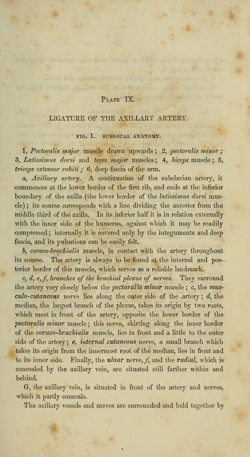 LIGATURE OF THE AXILLARY ARTERY. FIG. 1. SURGICAL ANATOMY. 1, Pectoralis major muscle drawn upwards ; 2, pectoralis minor ; 3, Latissimus dorsi and teres major muscles; 4, biceps muscle; 5, triceps extensor cubiti ; 6, deep fascia of the arm. a, Axillary artery. A continuation of the subclavian artery, it commences at the lower border of the first rib, and ends at the inferior boundary of the axilla (the lower border of the latissimus dorsi mus- cle) ; its course corresponds with a line dividing the anterior from the middle third of the axilla. In its inferior half it is in relation externally with the inner side of the humerus, against which it may be readily compressed; internally it is covered only by the integuments and deep fascia, and its pulsations can be easily felt. b, coraco-brachialis muscle, in contact with the arteiy throughout its course. The artery is always to be found at the internal and pos-. terior border of this muscle, which serves as a reliable landmark. c, d, e,f branches of the brachial plexus of nerves. They surround the artery very closely below the pectoralis minor muscle ; c, the mus- culo-cutaneous nerve lies along the outer side of the .artery; d, the median, the largest branch of the plexus, takes its origin by two roots, which meet in front of the artery, opposite the lower border of the pectoralis minor muscle; this nerve, skirting along the inner border of the coraco-brachialis muscle, lies in front and a little to the outer side of the artery; e, internal cutaneous nerve, a small branch which takes its origin from the innermost root of the median, lies in front and to its inner side. Finally, the ulnar nerve,/, and the radial, which is concealed by the axillary vein, are situated still farther within and behind. G, the axillary vein, is situated hi front of the artery and nerves, which it partly conceals. The axillary vessels and nerves are surrounded and held together by