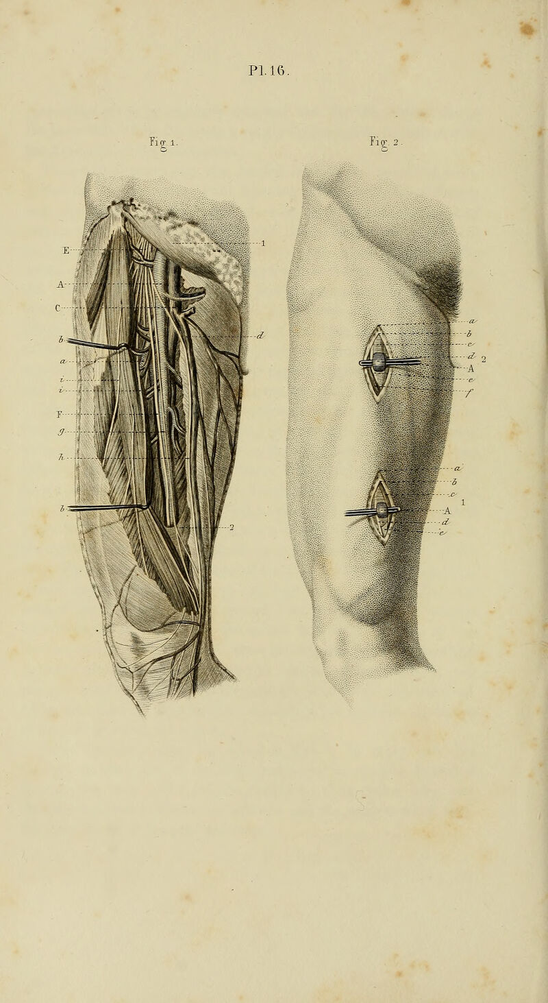 Fig; 1. Fig;. m- ' ,s5 e