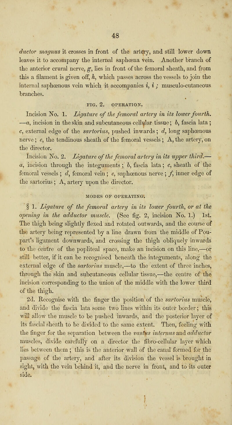 ductor magnus it crosses in front of the artery, and still lower clown leaves it to accompany the internal saphcena vein. Another branch of the anterior crural nerve, g, lies in front of the femoral sheath, and from this a filament is given off, h, which passes across the vessels to join the internal saphcenous vein which it accompanies i, i ; musculo-cutaneous branches. FIG. 2. OPERATION. Incision No. 1. Ligature of the femoral artery in its lower fourth. —a, incision in the skin and subcutaneous cellular tissue; 6, fascia lata ; c, external edge of the sartorius, pushed inwards; d, long saphcenous nerve; e, the tendinous sheath of the femoral vessels; A, the artery, on the director. Incision No. 2. Ligature of the femoral artery in its upper third.— a, incision through the integuments ; b, fascia lata; c, sheath of the femoral vessels ; d, femoral vein; e, saphcenous nerve ; /, inner edge of the sartorius ; A, artery upon the director. MODES OF OPERATING; § 1. Ligature of the femoral artery in its lower fourth, or at the opening in the adductor muscle. (See fig. 2, incision No. 1.) 1st. The thigh being slightly flexed and rotated outwards, and the course of the artery being represented by a line drawn from the middle of Pou- part's ligament downwards, and crossing the thigh obliquely inwards to the centre of the popliteal space, make an incision on this line,—or still better, if it can be recognised beneath the integuments, along the external edge of the sartorius muscle,—to the extent of three inches, through the skin and subcutaneous cellular tissue,—the centre of the incision corresponding to the union of the middle with the lower third of the thigh. 2d. Recognise with the finger the position of the sartorius muscle, and divide the fascia lata some two lines within its outer border; this will allow the muscle to be pushed inwards, and the posterior layer of its fascial sheath to be divided to the same extent. Then, feeling with the finger for the separation between the vastus internus and adductor muscles, divide carefully on a director the fibro-cellular layer which lies between them ; this is the anterior wall of the canal formed for the passage of the artery, and after its division the vessel is brought in sight, with the vein behind it, and the nerve in front, and to its outer side.