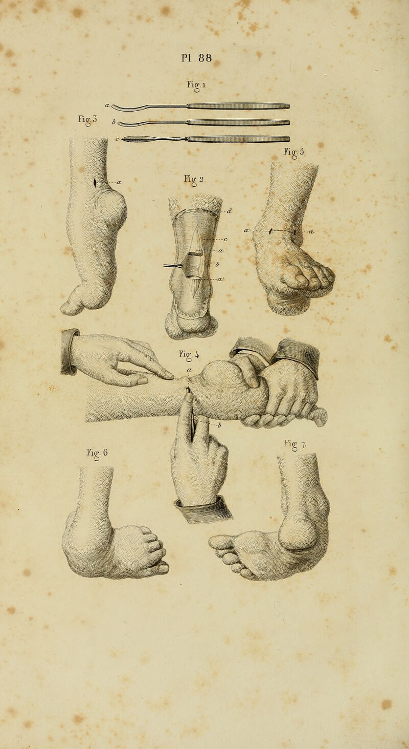 PI. 88 Fier'i Tiff, 3 ji'-i ;:iiir=^^a *bsC: = —— Fiff. 5. '. '■.<&:■• r'<:.:,t/M}y^y-'.^k ■■■- :-■■-*' MW-