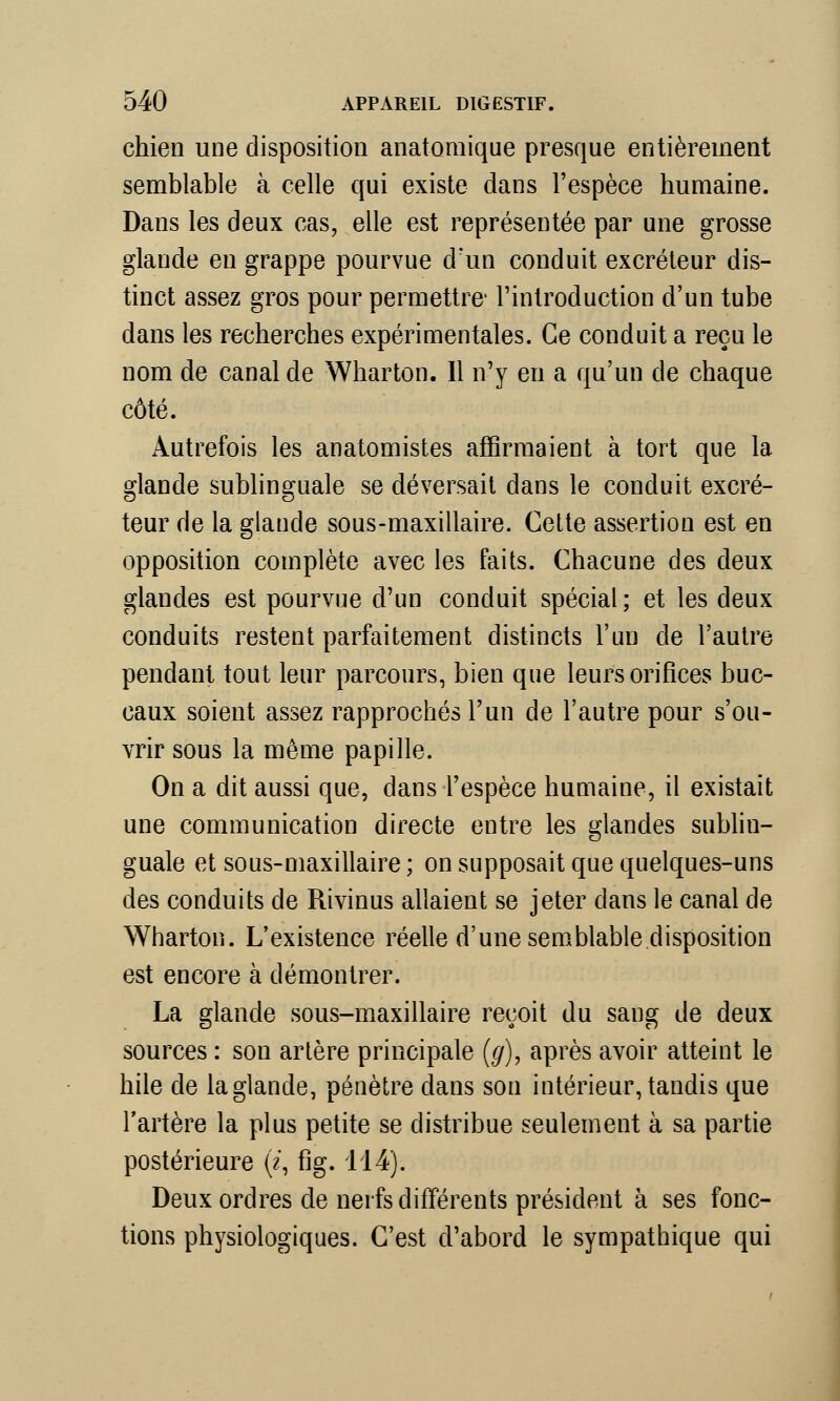 chien une disposition anatomique presque entièrement semblable à celle qui existe dans l'espèce humaine. Dans les deux cas, elle est représentée par une grosse glande en grappe pourvue d'un conduit excréteur dis- tinct assez gros pour permettre' l'introduction d'un tube dans les recherches expérimentales. Ce conduit a reçu le nom de canal de Wharton. 11 n'y en a qu'un de chaque côté. Autrefois les anatomistes affirmaient à tort que la glande sublinguale se déversait dans le conduit excré- teur de la glande sous-maxillaire. Cette assertion est en opposition complète avec les faits. Chacune des deux glandes est pourvue d'un conduit spécial; et les deux conduits restent parfaitement distincts l'un de l'autre pendant tout leur parcours, bien que leurs orifices buc- caux soient assez rapprochés l'un de l'autre pour s'ou- vrir sous la même papille. On a dit aussi que, dans l'espèce humaine, il existait une communication directe entre les glandes sublin- guale et sous-maxillaire ; on supposait que quelques-uns des conduits de Rivinus allaient se jeter dans le canal de Wharton. L'existence réelle d'une semblable disposition est encore à démontrer. La glande sous-maxillaire reçoit du sang de deux sources : son artère principale (g), après avoir atteint le hile de la glande, pénètre dans son intérieur, tandis que l'artère la plus petite se distribue seulement à sa partie postérieure (*, fig. 114). Deux ordres de nerfs différents président à ses fonc- tions physiologiques. C'est d'abord le sympathique qui