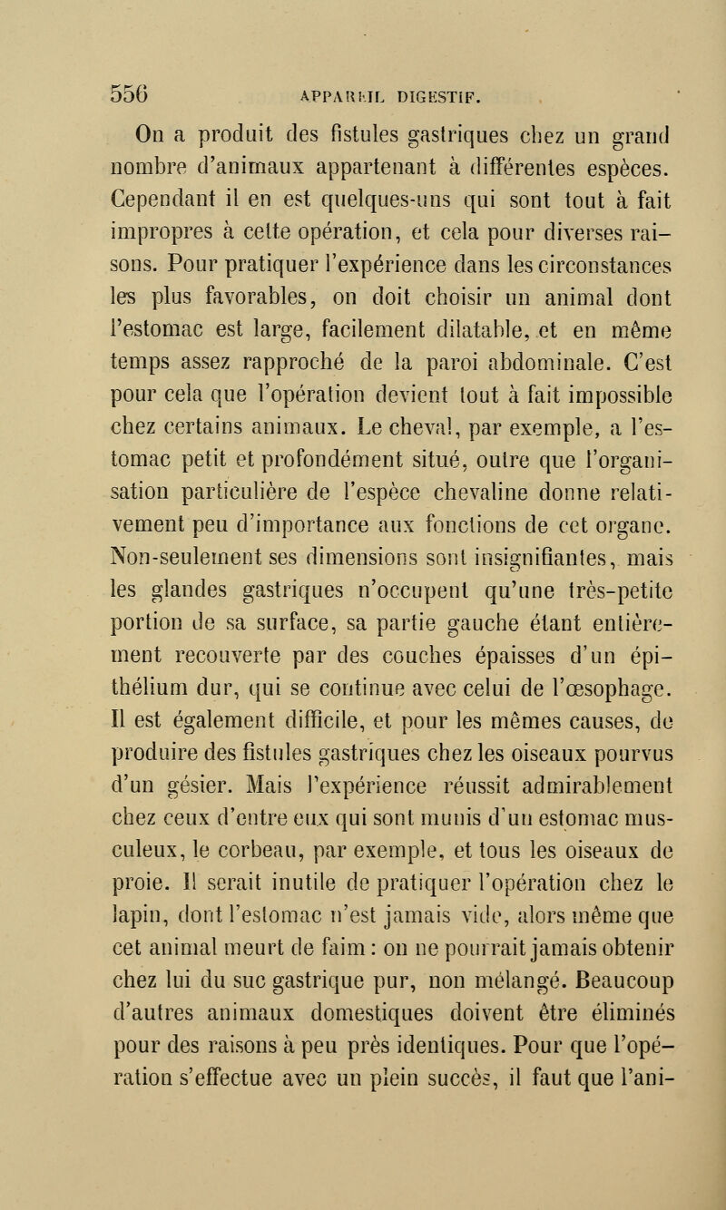 On a produit des fistules gastriques chez un grand nombre d'animaux appartenant à différentes espèces. Cependant il en est quelques-uns qui sont tout à fait impropres à cette opération, et cela pour diverses rai- sons. Pour pratiquer l'expérience dans les circonstances les plus favorables, on doit choisir un animal dont l'estomac est large, facilement dilatable, et en même temps assez rapproché de la paroi abdominale. C'est pour cela que l'opération devient tout à fait impossible chez certains animaux. Le cheval, par exemple, a l'es- tomac petit et profondément situé, outre que l'organi- sation particulière de l'espèce chevaline donne relati- vement peu d'importance aux fonctions de cet organe. Non-seulement ses dimensions sont insignifiantes, mais les glandes gastriques n'occupent qu'une très-petite portion de sa surface, sa partie gauche étant entière- ment recouverte par des couches épaisses d'un épi— thélium dur, qui se continue avec celui de l'œsophage. Il est également difficile, et pour les mêmes causes, de produire des fistules gastriques chez les oiseaux pourvus d'un gésier. Mais l'expérience réussit admirablement chez ceux d'entre eux qui sont munis d'un estomac mus- culeux, le corbeau, par exemple, et tous les oiseaux de proie. ïl serait inutile de pratiquer l'opération chez le lapin, dont l'estomac n'est jamais vide, alors même que cet animal meurt de faim : on ne pourrait jamais obtenir chez lui du suc gastrique pur, non mélangé. Beaucoup d'autres animaux domestiques doivent être éliminés pour des raisons à peu près identiques. Pour que l'opé- ration s'effectue avec un plein succès, il faut que l'ani-