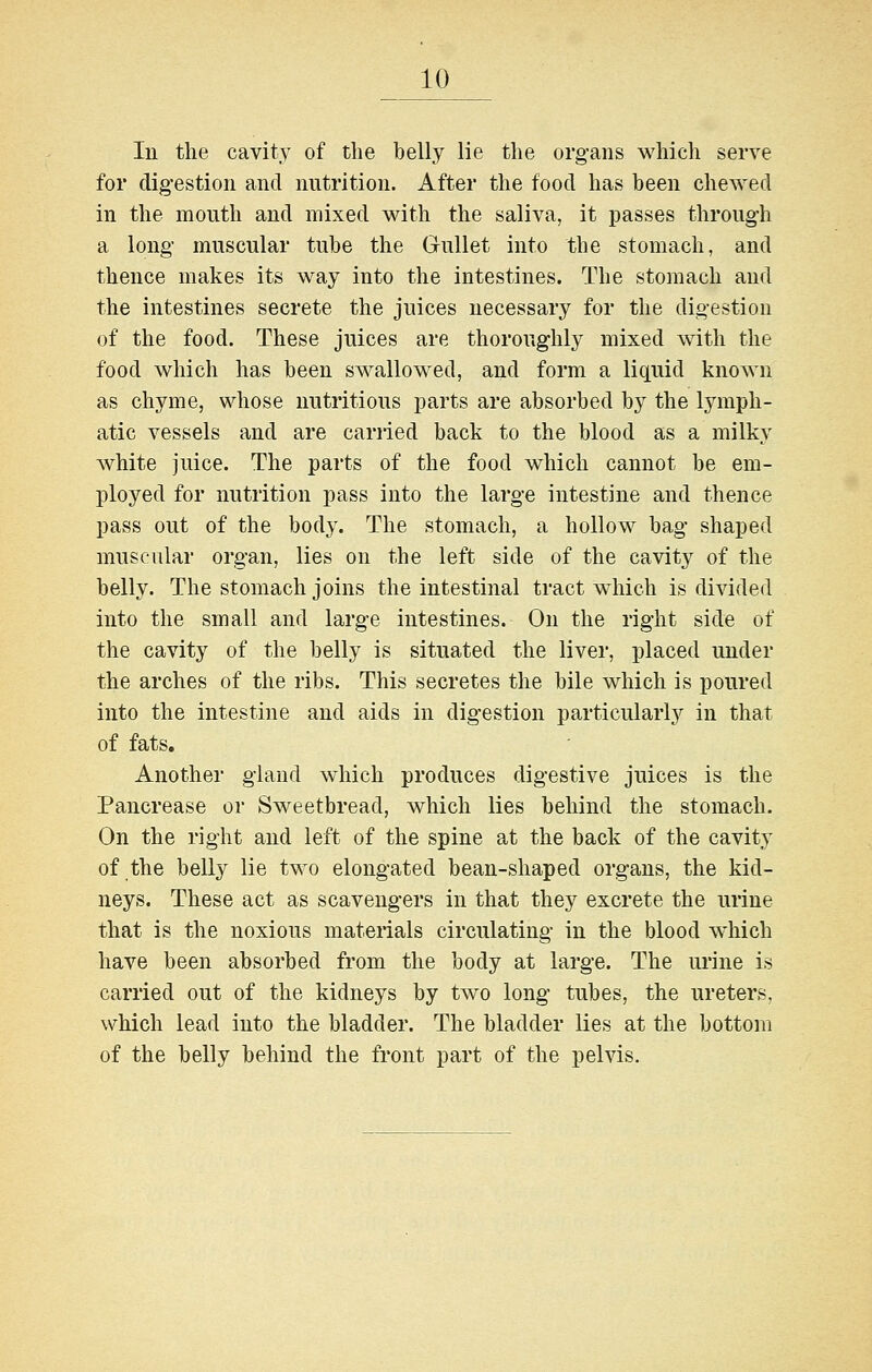 111 the cavity of the belly lie the org-aiis which serve for clig-estion and nutrition. After the food has been chewed in the mouth and mixed with the saliva, it passes throug-h a long muscular tube the Gullet into the stomach, and thence makes its way into the intestines. The stomach and the intestines secrete the juices necessary for the digestion of the food. These juices are thoroughly mixed wdth the food which has been swallowed, and form a liquid known as chyme, whose nutritious parts are absorbed by the lymph- atic vessels and are carried back to the blood as a milky white juice. The parts of the food which cannot be em- ployed for nutrition pass into the large intestine and thence pass out of the body. The stomach, a hollow bag shaped muscular organ, lies on the left side of the cavity of the belly. The stomach joins the intestinal tract which is divided into the small and large intestines. On the right side of the cavity of the belly is situated the liver, placed under the arches of the ribs. This secretes the bile which is poured into the intestine and aids in digestion particularly in that of fats. Another gland which produces digestive juices is the Pancrease or Sweetbread, which lies behind the stomach. On the right and left of the spine at the back of the cavity of the belly lie two elongated bean-shaped organs, the kid- neys. These act as scavengers in that they excrete the urine that is the noxious materials circulating in the blood which have been absorbed from the body at large. The urine is carried out of the kidneys by two long tubes, the ureters, which lead into the bladder. The bladder lies at the bottom of the belly behind the front part of the pelvis.