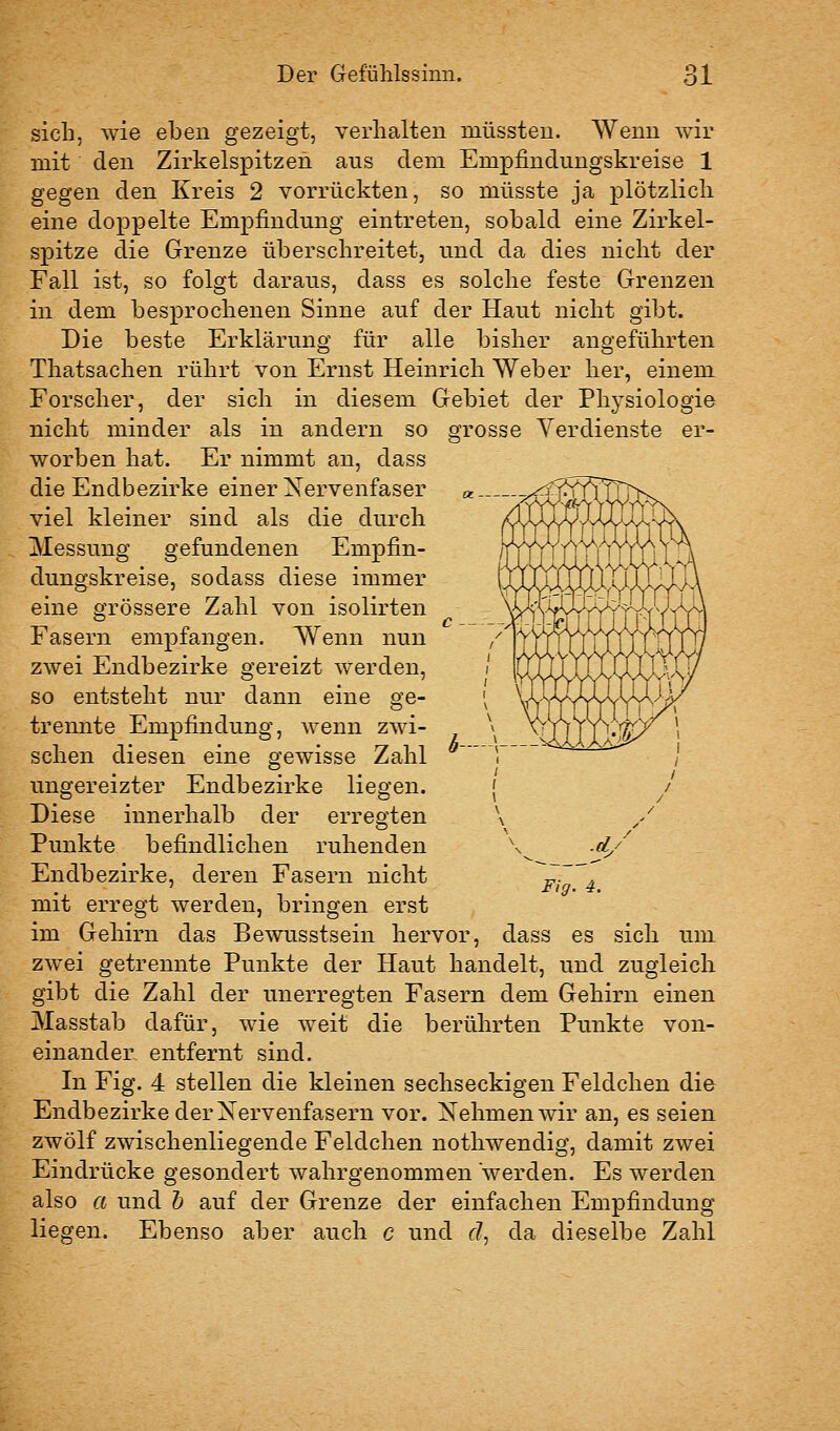 sich, wie eben gezeigt, verhalten müssten. Wenn wir mit den Zirkelspitzen aus dem Empfindungskreise 1 gegen den Kreis 2 vorrückten, so müsste ja plötzlich eine doppelte Empfindung eintreten, sobald eine Zirkel- spitze die Grenze überschreitet, und da dies nicht der Fall ist, so folgt daraus, dass es solche feste Grenzen in dem besprochenen Sinne auf der Haut nicht gibt. Die beste Erklärung für alle bisher angeführten Thatsachen rührt von Ernst Heinrich Weber her, einem Forscher, der sich in diesem Gebiet der Physiologie nicht minder als in andern so grosse Verdienste er- worben hat. Er nimmt an, dass die Endbezirke einer Nervenfaser viel kleiner sind als die durch jMessung gefundenen Empfin- dungskreise, sodass diese immer eine grössere Zahl von isolirten Fasern empfangen. Wenn nun zwei Endbezirke gereizt werden, so entsteht nur dann eine ge- trennte Empfindung, wenn zwi- schen diesen eine gewisse Zahl ungereizter Endbezirke liegen. Diese innerhalb der erregten Punkte befindlichen ruhenden Endbezirke, deren Fasern nicht mit erregt werden, bringen erst im Gehirn das Bewusstsein hervor, dass es sich um zwei getrennte Punkte der Haut handelt, und zugleich gibt die Zahl der unerregten Fasern dem Gehirn einen Masstab dafür, wie weit die berührten Punkte von- einander entfernt sind. In Fig. 4 stellen die kleinen sechseckigen Feldchen die Endbezirke der Nervenfasern vor. Nehmen wir an, es seien zwölf zwischenliegende Feldchen nothwendig, damit zwei Eindrücke gesondert wahrgenommen werden. Es werden also a und h auf der Grenze der einfachen Empfindung liegen. Ebenso aber auch c und r?, da dieselbe Zahl ■d/