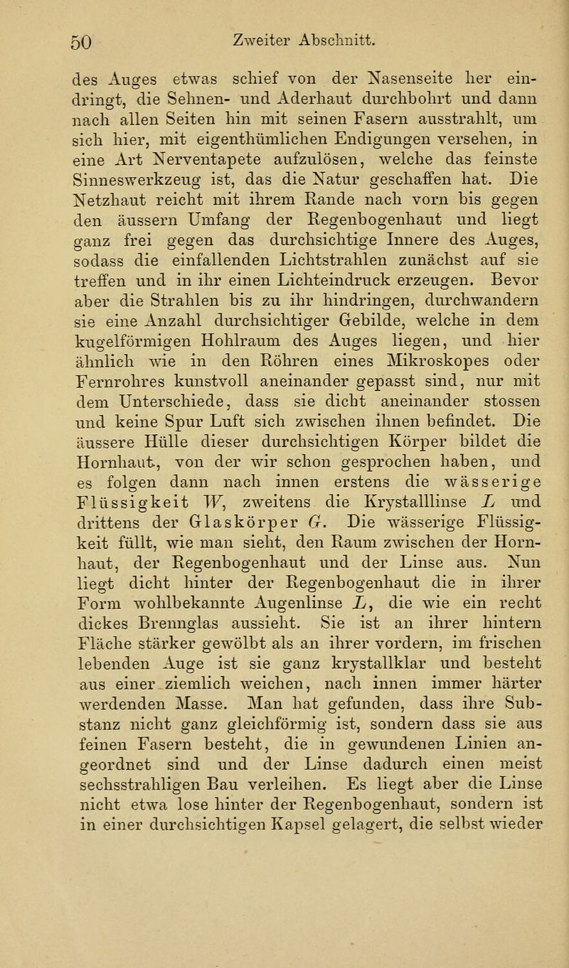 des Auges etwas schief von der Nasenseite her ein- dringt, die Sehnen- und Aderhaut durchbohrt und dann nach allen Seiten hin mit seinen Fasern ausstrahlt, um sich hier, mit eigenthümlichen Endigungen versehen, in eine Art Nerventapete aufzulösen, welche das feinste Sinneswerkzeug ist, das die Natur geschaffen hat. Die Netzhaut reicht mit ihrem Rande nach vorn bis gegen den äussern Umfang der Regenbogenhaut und liegt ganz frei gegen das durchsichtige Innere des Auges, sodass die einfallenden Lichtstrahlen zunächst auf sie treffen und in ihr einen Lichteindruck erzeugen. Bevor aber die Strahlen bis zu ihr hindringen, durchwandern sie eine Anzahl durchsichtiger Gebilde, welche in dem kugelförmigen Hohlraum des Auges liegen, und hier ähnlich wie in den Röhren eines Mikroskopes oder Fernrohres kunstvoll aneinander gepasst sind, nur mit dem Unterschiede, dass sie dicht aneinander stossen und keine Spur Luft sich zwischen ihnen befindet. Die äussere Hülle dieser durchsichtigen Körper bildet die Hornhaut, von der wir schon gesprochen haben, und es folgen dann nach innen erstens die wässerige Flüssigkeit W, zweitens die Krystalllinse L und drittens der Glaskörper 6r. Die wässerige Flüssig- keit füllt, wie man sieht, den Raum zwischen der Horn- haut, der Regenbogenhaut und der Linse aus. Nun liegt dicht hinter der Regenbogenhaut die in ihrer Form wohlbekannte Augenlinse X, die wie ein recht dickes Brennglas aussieht. Sie ist an ihrer hintern Fläche stärker gewölbt als an ihrer vordem, im frischen lebenden Auge ist sie ganz krystallklar und besteht aus einer ziemlich weichen, nach innen immer härter werdenden Masse. Man hat gefunden, dass ihre Sub- stanz nicht ganz gleichförmig ist, sondern dass sie aus feinen Fasern besteht, die in gewundenen Linien an- geordnet sind und der Linse dadurch einen meist sechsstrahligen Bau verleihen. Es liegt aber die Linse nicht etwa lose hinter der Regenbogenhaut, sondern ist in einer durchsichtigen Kapsel gelagert, die selbst wieder