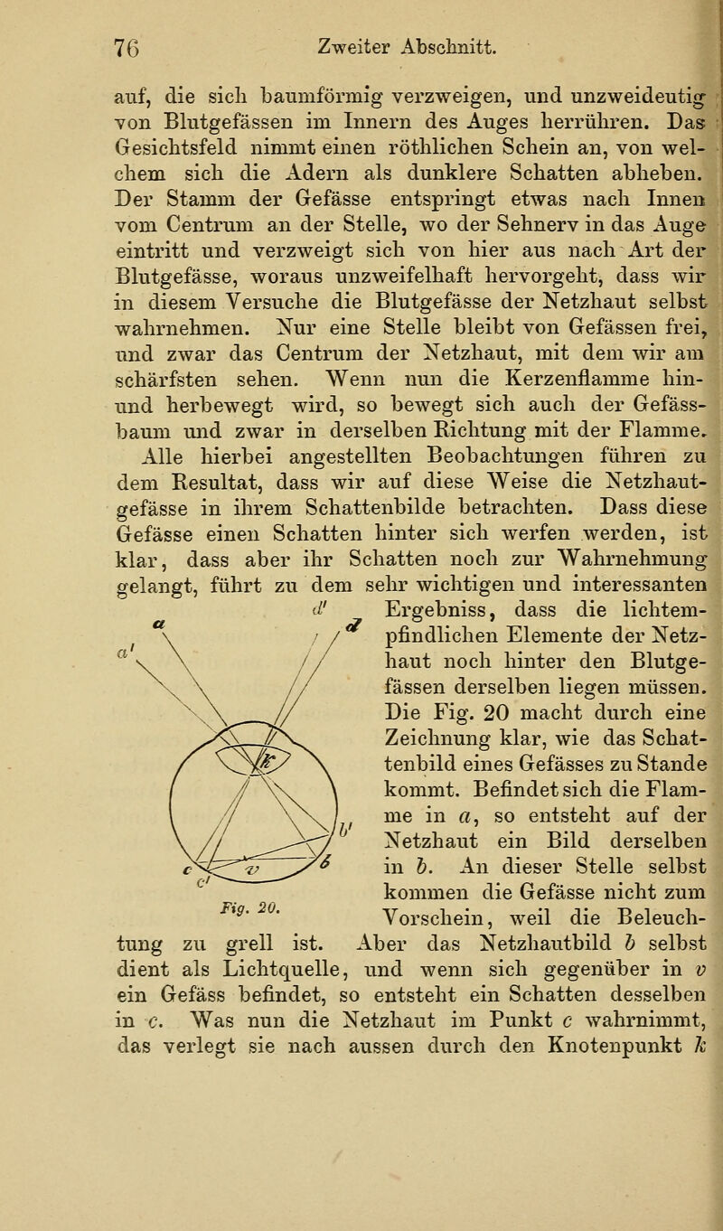 auf, die sich baumförmig verzweigen, und unzweideutig von Blutgefässen im Innern des Auges herrühren. Das ; Gesichtsfeld nimmt einen röthlichen Schein an, von wel- chem sich die Adern als dunklere Schatten abheben. Der Stamm der Grefässe entspringt etwas nach Innen vom Centrum an der Stelle, wo der Sehnerv in das x\uge eintritt und verzweigt sich von hier aus nach Art der Blutgefässe, woraus unzweifelhaft hervorgeht, dass wir in diesem Versuche die Blutgefässe der Netzhaut selbst wahrnehmen. Nur eine Stelle bleibt von Gefässen frei, und zwar das Centrum der Netzhaut, mit dem wir am schärfsten sehen. Wenn nun die Kerzenflamme hin- und herbewegt wird, so bewegt sich auch der Gefäss- bäum imd zwar in derselben Richtung mit der Flamme. Alle hierbei angestellten Beobachtungen führen zu dem Resultat, dass wir auf diese Weise die Netzhaut- gefässe in ihrem Schattenbilde betrachten. Dass diese Gefässe einen Schatten hinter sich werfen werden, ist klar, dass aber ihr Schatten noch zur Wahrnehmung gelangt, führt zu dem sehr wichtigen und interessanten Ergebniss, dass die lichtem- pfindlichen Elemente der Netz- haut noch hinter den Blutge- fässen derselben liegen müssen. Die Fig. 20 macht durch eine Zeichnung klar, wie das Schat- tenbild eines Gefässes zu Stande kommt. Befindet sich die Flam- me in a, so entsteht auf der Netzhaut ein Bild derselben in h. An dieser Stelle selbst kommen die Gefässe nicht zum Vorschein, weil die Beleuch- Aber das Netzhautbild h selbst dient als Lichtquelle, und wenn sich gegenüber in v ein Gefäss befindet, so entsteht ein Schatten desselben in c. Was nun die Netzhaut im Punkt c wahrnimmt, das verlegt sie nach aussen durch den Knotenpunkt h Fig. 20. tung zu grell ist.