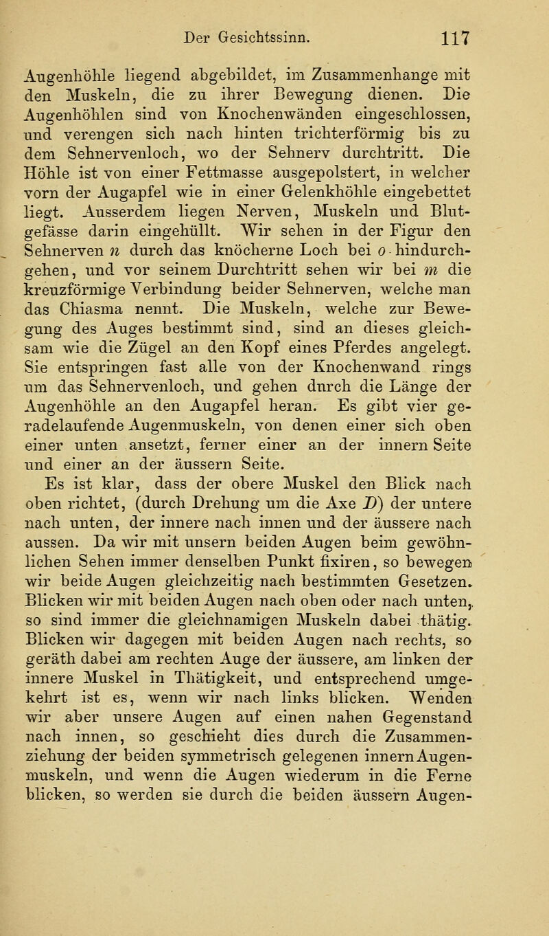 Augenhöhle liegend abgebildet, im Zusammenhange mit den Muskeln, die zu ihrer Bewegung dienen. Die Augenhöhlen sind von Knochenwänden eingeschlossen, und verengen sich nach hinten trichterförmig bis zu dem Sehnervenloch, wo der Sehnerv durchtritt. Die Höhle ist von einer Fettmasse ausgepolstert, in welcher vorn der Augapfel wie in einer Gelenkböhle eingebettet liegt. Ausserdem liegen Nerven, Muskeln und Blut- gefässe darin eingehüllt. Wir sehen in der Figur den Sehnerven n durch das knöcherne Loch bei o hindurch- gehen, und vor seinem Durchtritt sehen wir bei m die kreuzförmige Verbindung beider Sehnerven, welche man das Chiasma nennt. Die Muskeln, welche zur Bewe- gung des Auges bestimmt sind, sind an dieses gleich- sam wie die Zügel an den Kopf eines Pferdes angelegt. Sie entspringen fast alle von der Knochenwand rings um das Sehnervenloch, und gehen durch die Länge der Augenhöhle an den Augapfel heran. Es gibt vier ge- radelaufende Augenmuskeln, von denen einer sich oben einer unten ansetzt, ferner einer an der innern Seite und einer an der äussern Seite. Es ist klar, dass der obere Muskel den Blick nach oben richtet, (durch Drehung um die Axe D) der untere nach unten, der innere nach innen und der äussere nach aussen. Da wir mit unsern beiden Augen beim gewöhn- lichen Sehen immer denselben Punkt fixiren, so bewegen wir beide Augen gleichzeitig nach bestimmten Gesetzen» Blicken wir mit beiden Augen nach oben oder nach unten,, so sind immer die gleichnamigen Muskeln dabei thätig. Blicken wir dagegen mit beiden Augen nach rechts, so geräth dabei am rechten Auge der äussere, am linken der innere Muskel in Thätigkeit, und entsprechend umge- kehrt ist es, wenn wir nach links blicken. Wenden wir aber unsere Augen auf einen nahen Gegenstand nach innen, so geschieht dies durch die Zusammen- ziehung der beiden symmetrisch gelegenen innern Augen- muskeln, und wenn die Augen wiederum in die Ferne blicken, so werden sie durch die beiden äussern Augen-