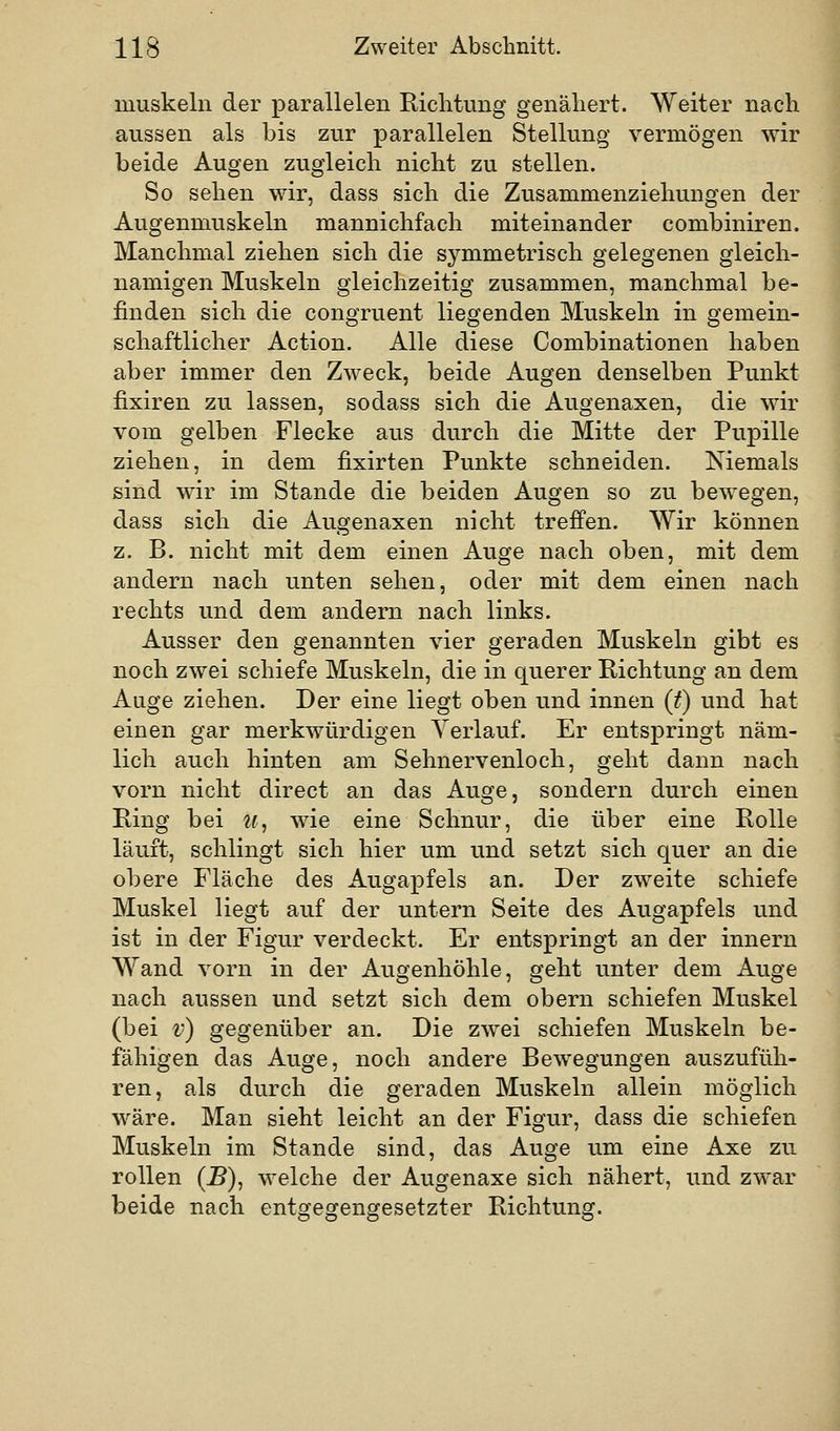 muskeln der parallelen Richtung genähert. Weiter nach aussen als bis zur parallelen Stellung vermögen wir beide Augen zugleich nicht zu stellen. So sehen wir, dass sich die Zusammenziehungen der Augenmuskeln mannichfach miteinander combiniren. Manchmal ziehen sich die symmetrisch gelegenen gleich- namigen Muskeln gleichzeitig zusammen, manchmal be- finden sich die congruent liegenden Muskeln in gemein- schaftlicher Action. Alle diese Combinationen haben aber immer den Zweck, beide Augen denselben Punkt fixiren zu lassen, sodass sich die Augenaxen, die wir vom gelben Flecke aus durch die Mitte der Pupille ziehen, in dem fixirten Punkte schneiden. Niemals sind wir im Stande die beiden Augen so zu bewegen, dass sich die Augenaxen nicht treffen. Wir können z. B. nicht mit dem einen Auge nach oben, mit dem andern nach unten sehen, oder mit dem einen nach rechts und dem andern nach links. Ausser den genannten vier geraden Muskeln gibt es noch zwei schiefe Muskeln, die in querer Richtung an dem Auge ziehen. Der eine liegt oben und innen (t) und hat einen gar merkwürdigen Verlauf. Er entspringt näm- lich auch hinten am Sehnervenloch, geht dann nach, vorn nicht direct an das Auge, sondern durch einen Eing bei u, wie eine Schnur, die über eine Rolle läuft, schlingt sich hier um und setzt sich quer an die obere Fläche des Augapfels an. Der zweite schiefe Muskel liegt auf der untern Seite des Augapfels und ist in der Figur verdeckt. Er entspringt an der innern Wand vorn in der Augenhöhle, geht unter dem Auge nach aussen und setzt sich dem obern schiefen Muskel (bei v) gegenüber an. Die zwei schiefen Muskeln be- fähigen das Auge, noch andere Bewegungen auszufüh- ren, als durch die geraden Muskeln allein möglich wäre. Man sieht leicht an der Figur, dass die schiefen Muskeln im Stande sind, das Auge um eine Axe zu rollen (B), welche der Augenaxe sich nähert, und zwar beide nach entgegengesetzter Richtung.