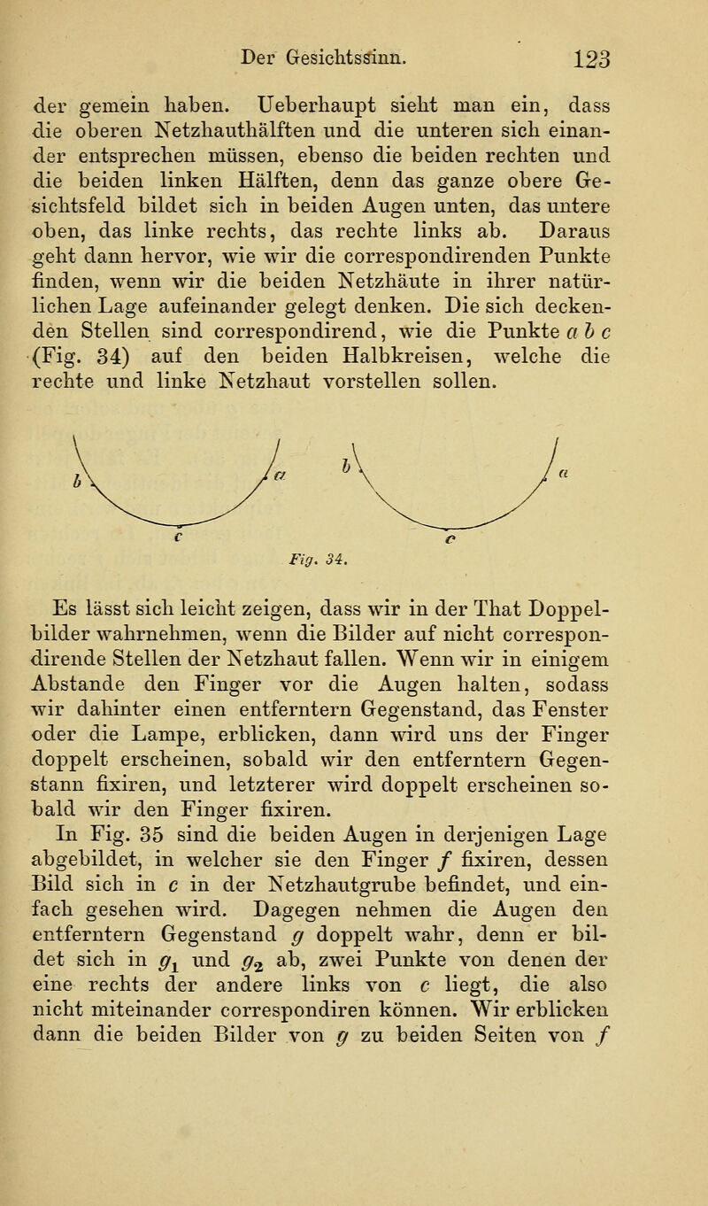 der gemein haben. Ueberhaupt sieht man ein, dass die oberen Netzhauthälften und die unteren sich einan- der entsprechen müssen, ebenso die beiden rechten und die beiden linken Hälften, denn das ganze obere Ge- sichtsfeld bildet sich in beiden Augen unten, das untere oben, das linke rechts, das rechte links ab. Daraus geht dann hervor, wie wir die correspondirenden Punkte finden, wenn wir die beiden Netzhäute in ihrer natür- lichen Lage aufeinander gelegt denken. Die sich decken- den Stellen sind correspondirend, wie die Punkte ah c (Fig. 34) auf den beiden Halbkreisen, welche die rechte und linke Netzhaut vorstellen sollen. Fig. 34. Es lässt sich leicht zeigen, dass wir in der That Doppel- bilder wahrnehmen, wenn die Bilder auf nicht correspon- dirende Stellen der Netzhaut fallen. Wenn wir in einigem Abstände den Finger vor die Augen halten, sodass wir dahinter einen entferntem Gegenstand, das Fenster oder die Lampe, erblicken, dann wird uns der Finger doppelt erscheinen, sobald wir den entferntem Gegen- stann fixiren, und letzterer wird doppelt erscheinen so- bald wir den Finger fixiren. In Fig. 35 sind die beiden Augen in derjenigen Lage abgebildet, in welcher sie den Finger / fixiren, dessen Bild sich in c in der Netzhautgrube befindet, und ein- fach gesehen wird. Dagegen nehmen die Augen den entferntem Gegenstand g doppelt wahr, denn er bil- det sich in ff^ und g^ ^^i zwei Punkte von denen der eine rechts der andere links von c liegt, die also nicht miteinander correspondiren können. Wir erblicken dann die beiden Bilder von g zu beiden Seiten von /