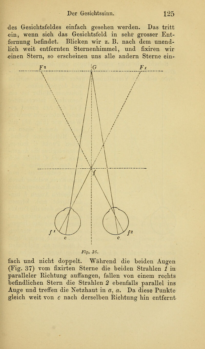 des Gesichtsfeldes einfach gesehen werden. Das tritt ein, wenn sich das Gesichtsfeld in sehr grosser Ent- fernung befindet. Blicken wir z. B. nach dem unend- lich weit entfernten Sternenhimmel, und fixiren wir •einen Stern, so erscheinen uns alle andern Sterne ein- Fig. 36. fach und nicht doppelt. Während die beiden Augen (Fig. 37) vom fixirten Sterne die beiden Strahlen 1 in paralleler Kichtung auffangen, fallen von einem rechts befindlichen Stern die Strahlen 2 ebenfalls parallel ins Auge und treffen die Netzhaut in a, a. Da diese Punkte gleich weit von c nach derselben Richtung hin entfernt-