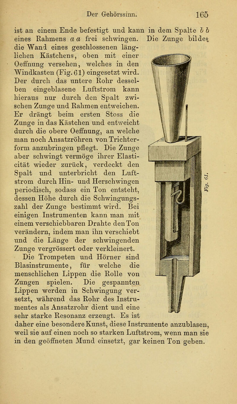 \ ist an einem Ende befestigt und kann in dem Spalte h h eines Rahmens a a frei schwingen. Die Zunge bildet die Wand eines geschlossenen läng- lichen Kästchens, oben mit einer Oeffnung versehen, welches in den Windkasten (Fig. 61) eingesetzt wird. Der durch das untere Rohr dessel- ben eingeblasene Luftstrom kann hieraus nur durch den Spalt zwi- schen Zunge und Rahmen entweichen. Er drängt beim ersten Stoss die Zunge in das Kästchen und entweicht durch die obere Oeffnung, an welche man noch Ansatzröhren von Trichter- form anzubringen pflegt. Die Zunge aber schwingt vermöge ihrer Elasti- cität wieder zurück, verdeckt den Spalt und unterbricht den Luft- strom durch Hin- und Herschwingen periodisch, sodass ein Ton entsteht, dessen Höhe durch die Schwingungs- zahl der Zunge bestimmt wird. Bei einigen Instrumenten kann man mit einem verschiebbaren Drahte den Ton verändern, indem man ihn verschiebt und die Länge der schwingenden Zunge vergrössert oder verkleinert. Die Trompeten und Hörner sind Blasinstrumente, für welche die menschlichen Lippen die Rolle von Zungen spielen. Die gespannten Lippen werden in Schwingung ver- setzt, während das Rohr des Instru- mentes als Ansatzrohr dient und eine sehr starke Resonanz erzeugt. Es ist daher eine besondere Kunst, diese Instrumente anzublasen, weil sie auf einen noch so starken Luftstrom, wenn man sie in den geöffneten Mund einsetzt, gar keinen Ton geben.