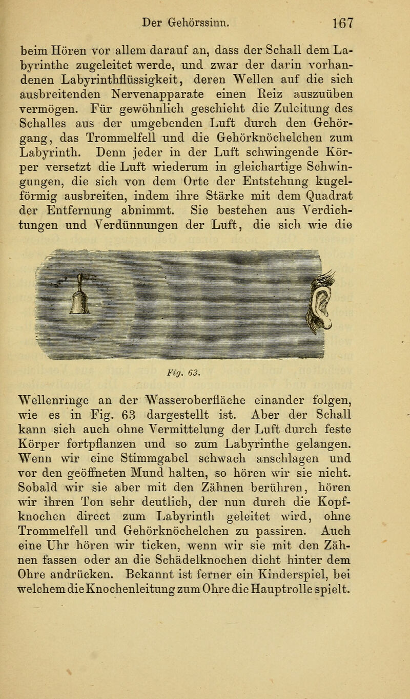 beim Hören vor allem darauf an, dass der Schall dem La- byrinthe zugeleitet werde, und zwar der darin vorhan- denen Labyrinthflüssigkeit, deren Wellen auf die sich ausbreitenden Nervenapparate einen Eeiz auszuüben vermögen. Für gewöhnlich geschieht die Zuleitung des Schalles aus der umgebenden Luft durch den Gehör- gang, das Trommelfell und die Gehörknöchelchen zum Labyrinth. Denn Jeder in der Luft schwingende Kör- per versetzt die Luft wiederum in gleichartige Schwin- gungen, die sich von dem Orte der Entstehung kugel- förmig ausbreiten, indem ihre Stärke mit dem Quadrat der Entfernung abnimmt. Sie bestehen aus Verdich- tungen und Verdünnungen der Luft, die sich wie die Fig. 63. Wellenringe an der Wasseroberfläche einander folgen, wie es in Fig. 63 dargestellt ist. Aber der Schall kann sich auch ohne Vermittelung der Luft durch feste Körper fortpflanzen und so zum Labyrinthe gelangen. Wenn wir eine Stimmgabel schwach anschlagen und vor den geöfiheten Mund halten, so hören wir sie nicht. Sobald wir sie aber mit den Zähnen berühren, hören wir ihren Ton sehr deutlich, der nun durch die Kopf- knochen direct zum Labyrinth geleitet wird, ohne Trommelfell und Gehörknöchelchen zu passiren. Auch eine Uhr hören wir ticken, wenn wir sie mit den Zäh- nen fassen oder an die Schädelknochen dicht hinter dem Ohre andrücken. Bekannt ist ferner ein Kinderspiel, bei welchem die Knochenleitung zum Ohre die Hauptrolle spielt.