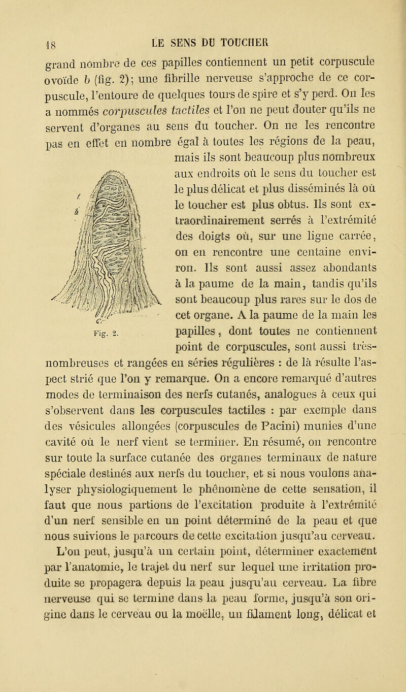 grand nombre de ces papilles contiennent un petit corpuscule ovoïde b (fig. 2); une fibrille nerveuse s'approche de ce cor- puscule, Tentoure de quelques tours de spire et s'y perd. On les a nommés corpuscules tactiles et l'on ne peut douter qu'ils ne servent d'organes au sens du toucher. On ne les rencontre pas en effet en nombre égal à toutes les régions de la peau, mais ils sont beaucoup plus nombreux aux endroits où le sens du toucher est le plus délicat et plus disséminés là où le toucher est plus obtus. Ils sont ex- traordinairement serrés à l'extrémité des doigts où, sur une ligne carrée, on en rencontre une centaine envi- ron. Ils sont aussi assez abondants à la paume de la main, tandis qu'ils sont beaucoup plus rares sur le dos de cet organe. A la paume de la main les papilles, dont toutes ne contiennent point de corpuscules, sont aussi très- nombreuses et rangées en séries régulières : de là résulte l'as- pect strié que l'on y remarque. On a encore remarqué d'autres modes de terminaison des nerfs cutanés, analogues à ceux qui s'observent dans les corpuscules tactiles : par exemple dans des vésicules allongées (corpuscules de Pacini) munies d'une cavité où le nerf vient se terminer. En résumé, on rencontre sur toute la surface cutanée des organes terminaux de nature spéciale destinés aux nerfs du toucher, et si nous voulons ana- lyser physiologiquement le phénomène de cette sensation, il faut que nous partions de l'excitation produite à l'extrémité d'un nerf sensible en un point déterminé de la peau et que nous suivions le parcours de cette excitation jusqu'au cerveau. L'on peut, jusqu'à un certain point, déterminer exactement par Tanatomie, le trajet du nerf sur lequel une irritation pro- duite se propagera depuis la peau jusqu'au cerveau, La fibre nerveuse qui se termine dans la peau forme, jusqu'à son ori- gine dans le cerveau ou la moelle, un fijament long, délicat et