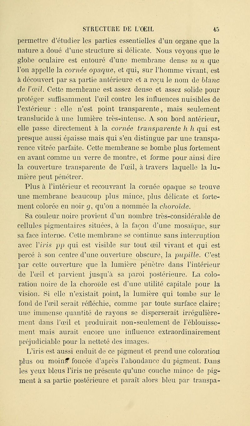 permettre d'étudier les parties essentielles d'an organe que la nature a doué d'une structure si délicate. Nous voyons que le globe oculaire est entouré d'une membrane dense m n que l'on appelle la cornée opaque, et qui, sur l'homme vivant, est à découvert par sa partie antérieure et a reçu le nom de blanc de l'œil. Cette membrane est assez dense et assez solide pour protéger suffisamment l'œil contre les influences nuisibles de l'extérieur : elle n'est point transparente, mais seulement translucide à une lumière très-intense. A son bord antérieur, elle passe directement à la cornée transparente h h qui est presque aussi épaisse mais qui s'en distingue par une transpa- rence vitrée parfaite. Cette membrane se bombe plus fortement en avant comme un verre de montre, et forme pour ainsi dire la couverture transparente de l'œil, à travers laquelle la lu- mière peut pénétrer. Plus à l'intérieur et recouvrant la cornée opaque se trouve une membrane beaucoup plus mince, plus délicate et forte- ment colorée en noir g, qu'on a nommée la choroïde. Sa couleur noire provient d'un nombre très-considéraljle de cellules pigmentaires situées, à la façon d'une mosaïque, sur sa face interne. Cette membrane se continue sans interruption avec Viris pp qui est visible sur tout œil vivant et qui est percé à son centre d'une ouverture obscure, la pupille. C'est par cette ouverture que la lumière pénètre dans l'intérieur de l'œil et parvient jusqu'à sa paroi postérieure. La colo- ration noire de la choroïde est d'une utilité capitale pour la vision. Si elle n'existait point, la lumière qui tombe sur le fond de l'œil serait réfléchie, comme par toute surface claire; une immense quantité de rayons se disperserait irrégulière- ment dans l'œil et x3roduirait non-seulement de l'éblouisse- ment mais aurait encore une influence extraordinairement préjudiciable pour la netteté des images. L'iris est aussi enduit de ce pigment et prend une coloration plus ou moin? foncée d'après l'abondance du pigment. Dans les yeux bleus l'iris ne présente qu'une couche minc«î de pig- ment à sa partie postérieure et paraît alors bleu par transpa-