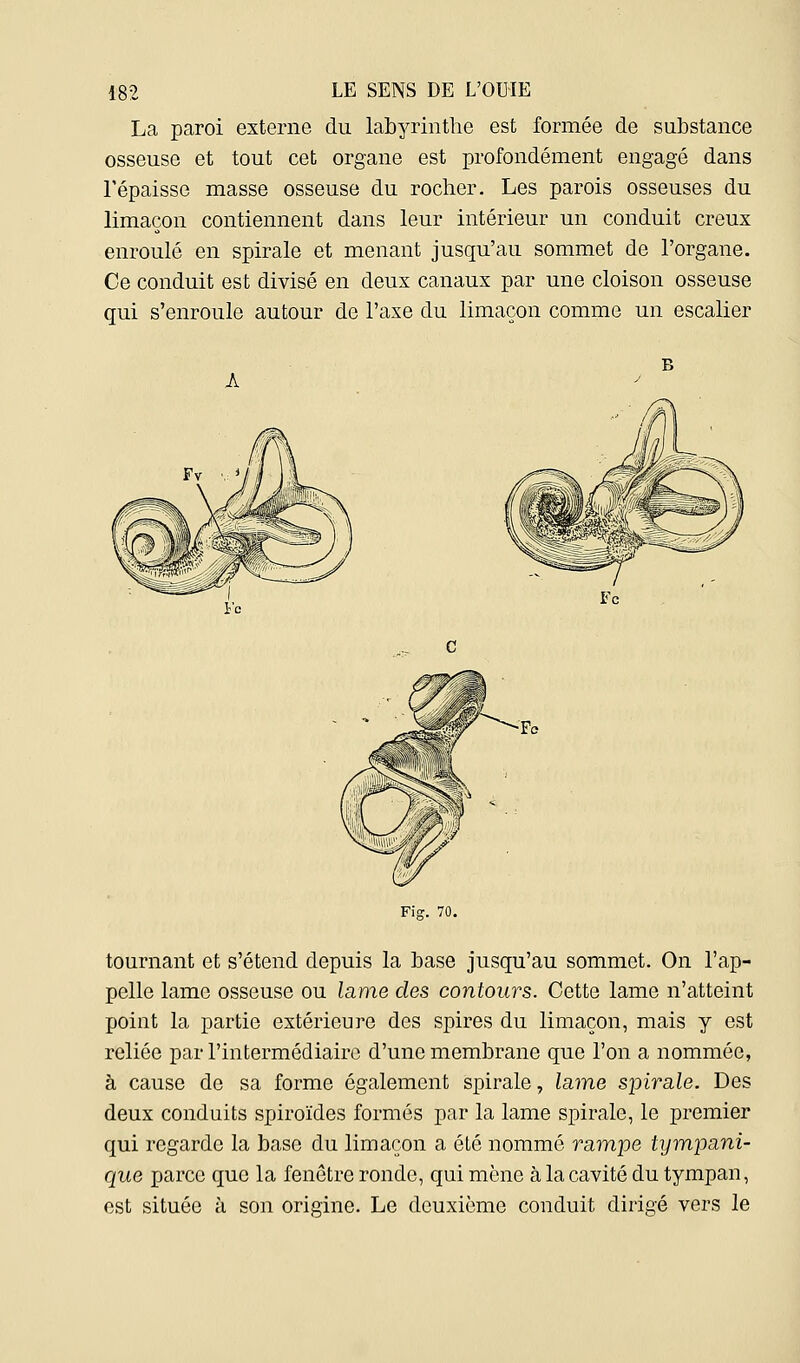 La paroi externe du labyrinthe est formée de substance osseuse et tout cet organe est profondément engagé dans l'épaisse masse osseuse du rocher. Les parois osseuses du limaçon contiennent dans leur intérieur un conduit creux enroulé en spirale et menant jusqu'au sommet de l'organe. Ce conduit est divisé en deux canaux par une cloison osseuse qui s'enroule autour de l'axe du limaçon comme un escalier Â Fig. 70. tournant et s'étend depuis la base jusqu'au sommet. On l'ap- pelle lame osseuse ou lame des contours. Cette lame n'atteint point la partie extérieure des spires du limaçon, mais y est reliée par l'intermédiaire d'une membrane que l'on a nommée, à cause de sa forme également spirale, lame spirale. Des deux conduits spiroïdes formés par la lame spirale, le premier qui regarde la base du limaçon a été nommé rampe tympanî- que parce que la fenêtre ronde, qui mène à la cavité du tympan, est située à son origine. Le deuxième conduit dirigé vers le