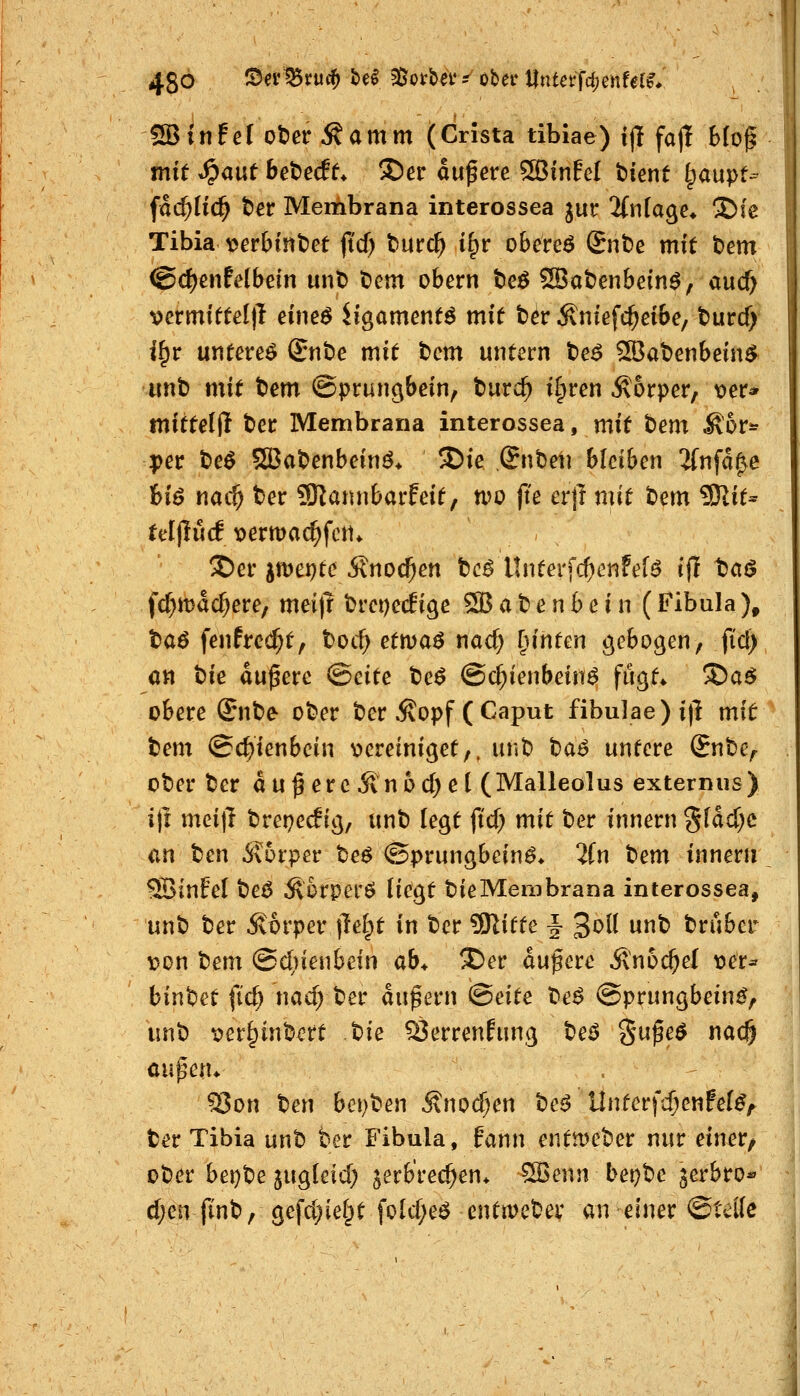 SBinfef oter Äamm (Crista tibiae) ift fajl bfo^ mit ^ant het^edt^ !j5er aufere SBinfel feient ^aupt- fad;(ic^ t)er Membrana interossea jur ^(nlagc* S)(e Tibia^erbintee jtcf) burc^ i^r oberem Snbe mit bem <gd)cnfe(bein mit) t)em obern tc$ SJat^enbeinö, auc^ i)ermfttel|l eineö Hgament^ mit ter ^ntefc^eibe, turcfi i^v unterem Sribe mit bcm untern te^ ^at)enbein$ •unb mit t>em ©prungbcin, turc^ ilpren Äorper, \)er* mitte((l t)er Membrana interossea, mit t)em ^or^^ per t>e^ $JBat)enbeinö* SDie Snbetj bleiben 2(nfa^e fciö nac^ t)er 9Rannbar!eit, tpo fte erjl mit £>em 3Jlit- teljluc! loermac^fctn I)cr jmei^te 5lnoc^en tcß llnterfcf)enfef^ ifl ta^ fc^macf^ere, meij? t)rei)e(fige SBat'enbein (Fibula), taö fenfre(^t, toc^ etma^ t\ad) l^intm gebogen, fiel) an t)ie äußere ©cite t)e^ (Schienbeine fugt* ®aö obere Snbe 0(?er ber .Äopf ( Caput fibu]ae)i|l mit tem (Schienbein v>creiniget,, unt> t)a6 untere (Snbe, ot)er t'er auf erc 5vn6cl)e( (Malleolus externus) i\i md\i t)rei)ec!ig, unt) legt ftcf; mit her innern gfacT^c cn ten 5\5rper be^ (Sprungbein^* 2in bem innern IJBinfel t)ei5 Ä&rperö Hegt tieMembrana interossea, unt) ter 5\6rper jlelpt in t)cr '^itte f S^H unt) trüber \5on bem @c^)ienbein ab^ I)er dufere Änoc^el tier* binbet fic^ nad; t»er dufern «Seite te$ (Sprungbein^, unt) x>er§ini?ert tk Öerrenfung he$ gufeö nac§ au^etu . 35on t»en bet)ten Änod;en t)ee Unterfc^^enfeB,^ ter Tibia unt) ber Fibula, fann entmet^er nur einer, otJer bei)t)e jugleid; jerb'rec^en* ^enn bei)'Oc ^erbro-» d;en fint), gefd}ie^t fold;eö cntmcter an einer ©teile