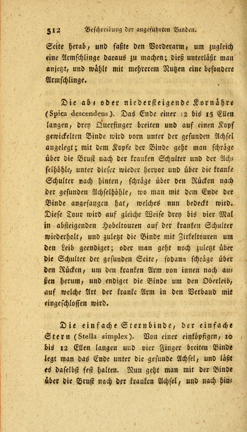 (Belte ^embf uttt) fa§te Den SSovöevam^ um ju(jretd^ eine iMmfc^ün^e Mtauß ju machen; Dieg nntexia^t man anje^t, unD tt)dp(t mit mepverem i}^ugcn eine ^efonOece Slcmfc^Unae* S)ie a6< ober nteberfcei^enöe jtorna^r^ (Spica descendens). I)a^ €nt)e einet A2 bi^ 13 €öett langen, öret) £iuerpnger Sveiten unt) auf einen ^opf Sett?i(Jelten ^int>e föii'b t?orn unter t>ec gefunDen ^cf)fel angelegt; mit Dem Äopfc Der ^inDe gept man fc^ragc Ü6cc Die ^i'ujl nac^ Der franfen 6cl^ultet: unD Der My^ fel^o^le, unter Diefcr tvieDer I)ert)or unD über Die franfe 6c^u(ter nacC) ^i^ten, fc^vdge über Den 3iucfen nac§ Der gefunDen Slc^fel^o^Ie, a^o man mit Dem ^'uDe Der ^inDe angefangen ^atf melc^e^ nun beDecft mirD* IDiefe l^our mirD auf gleiche ^üfe Drer) hi^ t)ter 5i3?a[ in abf!eigenDen J^obeltouren auf Der franfcn 6c^ulter n^ieDer^olt/ unD ^ule^t Die §öinDe mit 3i»'*^«^touren um Den ^eib geenDiget; oDer man gejt noc^ ^nkijt über Die ©c^ulter Der gefunDcn ^eitCf foDann fc^rdge über ten füMenf um Den franfen 2lrm t)on innen nac^ am §en 5erum, unD enDiget Die 53inDe um Den Obeüeibf 4tuf meiere ^rt Der franfe 5lrm in t>m SjerbanD mit eingcfc^Iöflfen mtt), S)ie einfädle 6terttbittDe, Der einfacf)e 6tern (Stella simplex). ^oxt einer einfopfigcn, 10 ^i^ 12 (Eden langen uiiD öier ginger breiten Q3ittD:e legt man t>a^ (in^e unter t)tc gefunDe Slc^fel, unD lagt e^ Dafelbf! fef? 5<»(ten. SRun ge^t man mit Der SBinDe über Die Sru(! nac§ Der UmUn S{c?)fe(/ unD nac^ pin?