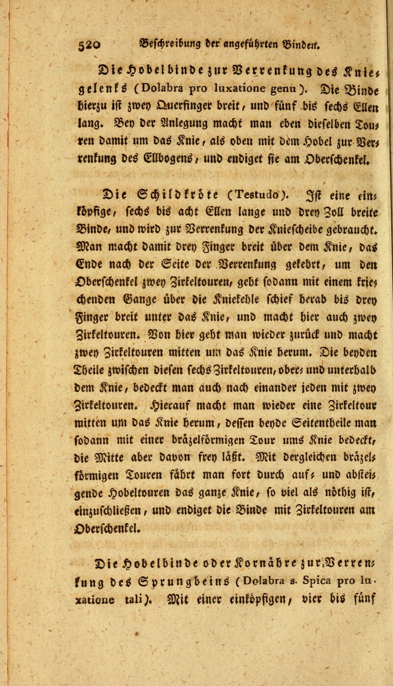 ^tUntß (Dolabra pro luxatione genu ). ^ie Stabe hkx^u iü jmej) Diucrftit^er hxeit, unD fünf J)i^ fec^ö ^Ue« lano* S3et) Der Slnlegung macfet man eben Oiefelben Sou^ ifen öamtt um Da^ f nie / alß oben mit Dem JpDbel jur 23er^ renfwttd t>^^ Sllbosen^/ tinD enOtg^^ ffc am ObetfcöenfeU Sie 6c^ifDfr6ife (Testudo). 3(! eine ein? fopftge/ fecfe^ biö ac^t dum lange imö t)ret)3ott breite S3inOe/ unl> tt>xt\> juv SJerrenfung Der Äniefcbeibe ßebraucöt» 5[)?att mac6t Damit Dret) ginger breit über ö«m Änie/ Dal €nDe nacö Der @cite Der fSerrenfung gefebrt/ um Deit X)berfcöenfel ^mt) Sirfeltouren^ qcU foDann mit einem frie^ cfeenDen ©ange über Die ^nkUhk fc^ief Iberab bi^ Dret) ginger breit unter l>a^ ^nkr unD macbt bier aucfe ^tvet) Sirfeitouren* 5Bon bier gebt man mieDer $urucf unD macbt üwet) 3kUltmtm mitten um t)a^ f nie berum* I)ie beoDert Sbeile itt)tfc&en Diefen fecbö3irfeltouren/obemmDunterbalb Dem ^nkf beDedt man aucb nacb einanDer jeDen mit jmeo Strfeltouren* hierauf macbt man ttJieDer eine 3irfeItouc mitte« um Daö ^nie bcrum/ Deflfen bet)De ©eitentbeile man foDann mit einer bräjelformicien 2our umö ^nic hel>edtf Die ^Uittte aber Daöon freo la§t* Wt Dergleichen brd^eU förmigen i^ouren fahvt man fort Durcb auf^ unD abüei^ genDe J^iobeltouren Mß ganje MCf fo biel al^ notbig iif/ ein5ufcblie§en / unD enDiget Die ^inDe mit 3irfeltouren am Oberfc^nfeU S^te J^obelbittDe oDerf orttdbrejur;s8errett^ fung Del 6prungbein^ (Dolabra s. Spica pro la> xatione tali^. S)jit einer einfopftge«/ t?ier M fünf