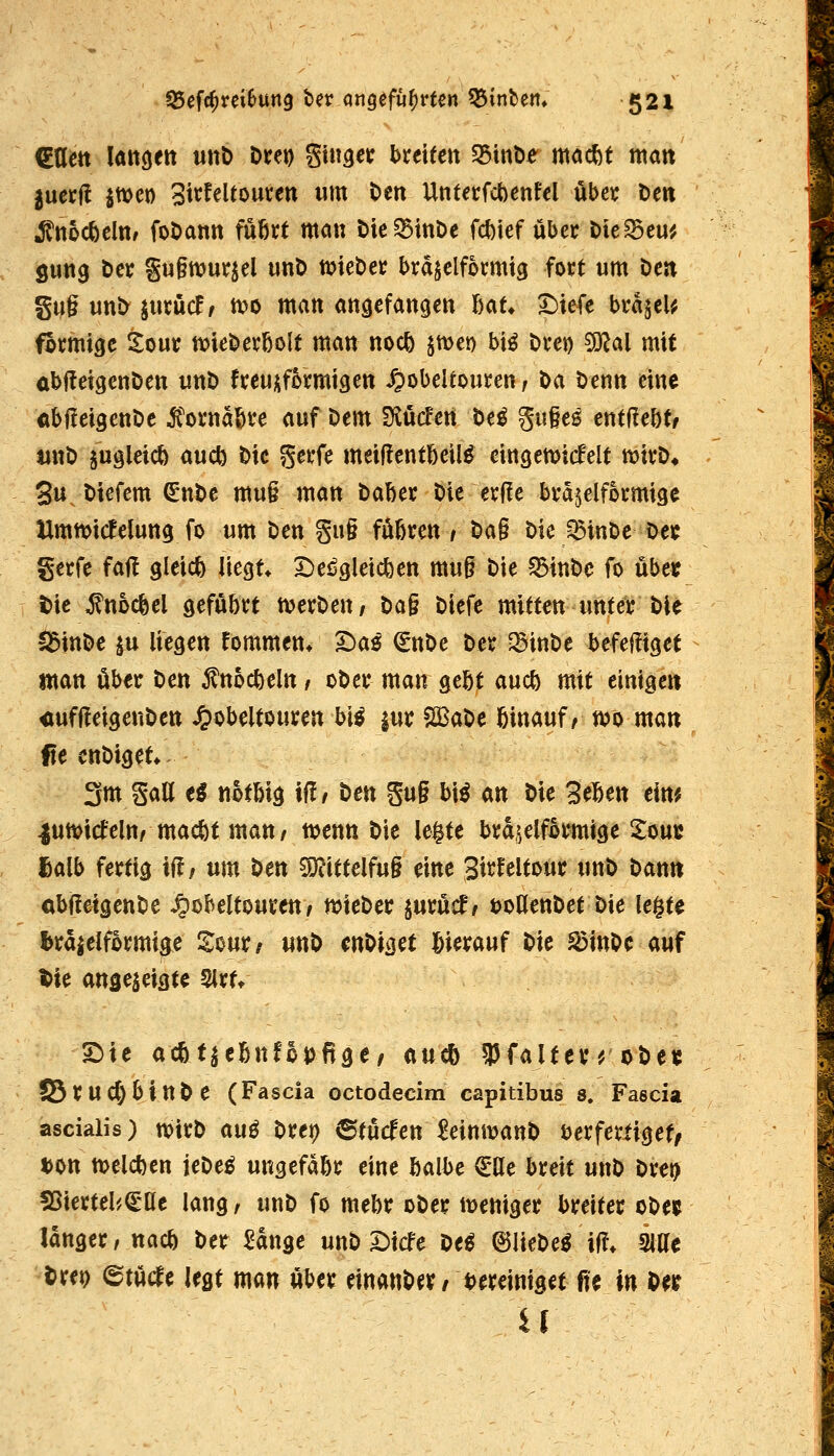 €tlett lattgeit unD Dtet) ginget: breiten $25int)e macfet man juerl! itoc^ Sttfeltouten um t>en Untecfcbenfel über öeti ÄnocöelH/ foDann fübtt man öie^BinDe Wxef über Die^eu^ Sutt9 ber gu§muirjel unD tt>iet)et brajelformig fort um Den gug uni> jurüd/ n?o man angefangen l)at» t)iefe bvajeU förmige Xour n?ieDer6ölt man nocö ^men bi^ Dret) 9}?al mit übffeigenöen unb freuüformigen ^obeltouren/ t>a Denn eine «bf!eigent)e Ä'ornabre auf Dem ^Mevi t>ti guges entflebtr jinD jugleicö an(Ji^ Die gerfe meiüentbeil^ eingemicfelt wit^^ 3u Dtefem ^nDe muß man Daber Die erlle bi-ajelfkmige Ummicfelung fo um Den gu§ föbren i Da§ Die ^inDe oeif gecfe faß gleich liegt* I)e^gleicfeen mug Die ^tuDc fo übe« t>ic ^noc^el gefubrt n^erDeu/ Dag Diefe mxttm mUt t>H ^inDe ju liegen fommen* ^as iSnDe Der ^inDe befeffiget ntan über Den ^nocbeln / oDer man gebt aucb mit einige« «ufffeigenDen ^obeltouren bi^ |ur S33aDe binauf r n?o man fie cnDiget*- 3m gall ti notbig tut i>en gug bi^ an Die Selben ein^ |un>icfeln/macbt man / tt>enn Die le^te bra^^elfkmige Sou« fialb fertig iff / mn t)m 9}iittelfug eine Sirfeltour unD Dan« obileigenDe ^obeltoureu/ wieDer ^nxMt öoöenDet Die legte braielformige XmXf mt> cn^U3n Jbierauf Die lötttDc auf W angezeigte ^vu S)ie acbt^cbnfot)fige/ aucö ^Pfalter^oDe^ ©ruc^binDe (Fascia octodecim capitibus s. Faecia ascialis) wtrD au^ Dret) ^tuden^eitttMttD berferiigef/ ton n?elcben jeDe^ ungefdbr eine balbe (Elle breit unD Dre^ ?)5ierteb(E'ac lang, unD fo mebr oDer itjeniger breiter oDe» langer/nacb Der £ange unD S^tcTe De^ (BlieDe^ if!* Me txtt> ©tüde UQt man über einanDer/ t)ereintget fie in De^ U