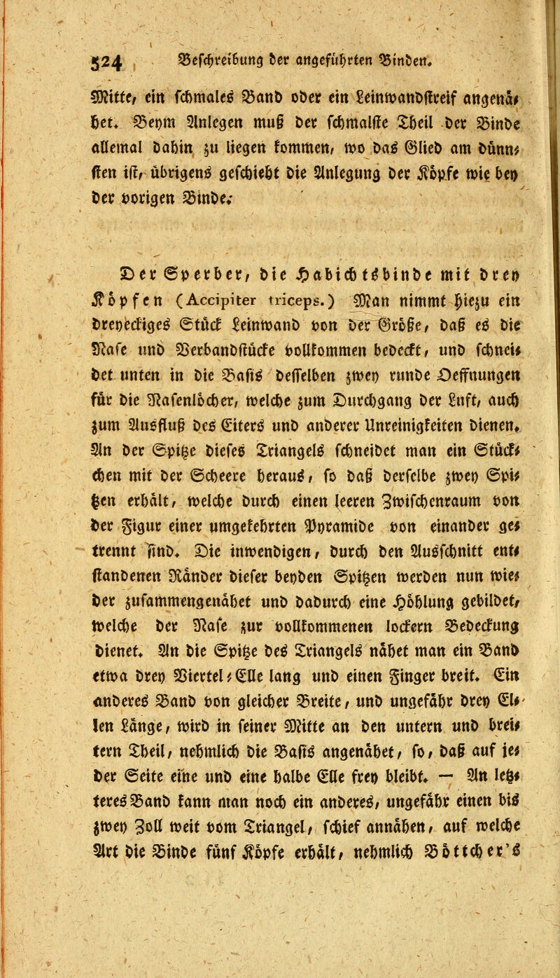 ^xttct etn fd^maiti 33anD oöer ettt ^einmanöüceif an^mh f^eu ^em einlegen mug t>et fc^malüc Xfieil t)ct S5tnt>e ÄÜcmal Dabin $u liegen fommett/ mo Da^ ©lieb am t>üttn# (!en ilt/ übrigen^ gefcöi^Öt Die Sinlegima Oec Äopfe mic bei) Der t)ongen EöinOe; S^et: ©petibcr/ Die J5)Äbicö t^binDe mit Di'eo Stopfen (Accipiter triceps.) ^ött nimmt i^ieju ein DreDecficje^ &M ^einmanb ton ]5er@ro§e/ Da§ e^ Die fRak unD SSetbanDffucfe tJoUfommen beredt t unD fcbnei* Det unten in Die ^:5aft^ DelTelben $tt>ei) runDe Oeffnunge« föc Die ^afenlocfeer, tt>elcfee jum 4)uvd)gan9 Der £uft/ aucö fum 3iueflu§ De^ €iterö unD anöerei* Unreinigfeiten Dienen^ Sin Der ^pi^e Diefee Sriangelö fcfeneiDet man ein @tu(f* cfeen mit Der @cl)eere beraub / fo t>a^ Derfelbe jmet) @pi^ |en erbdltf tt)elcfec Durcb einen leeren SttJtfc^enraum t)on iier gtgur einer umgekehrten ^t)ramtDe ton einanDer ge* trennt TtnD* X)k inn^enDtgen / Durefe Den 2luöf(t>nitt enti üanDenen 3fvdnDer Diefer beoDen ©pigen merDen nun ttjie^ ^er jufammengendbet unD DaDurct) eine ^o5lunö gebilDet/ tt)elct)e Der !3Rafe m t>oafommenen locfern ^eDecfun^ Dienet* 5ln Die @pige De^ Xriangelö ndbet man ein 5ßant> tma Dret) SSiertel'. ^1le lang unD einen ginger breit» €i« ÄttDerel SSanD ton gleicher breite, unD ungefdbr Dret) SU- len £dnge/ n^irD in feiner S)?itte an t>m untern unD bret^ fern IWü, neömlicö Die S5altö angenäbet/ fO/ Da§ auf je^ fcer (Seite eine unD eine ßalbe (iüt fret) bleibt* — 3ln ki$i tereö35attD fann man nocö ein anDereö; ungefabr einen hiß jmet) 3oa ttjeit t?om Triangel/ fc^ief anndfeettr auf voMe 5lrtDie^inDe funfÄopfe erbalt/ nebmlicö S36ttc6er'i5