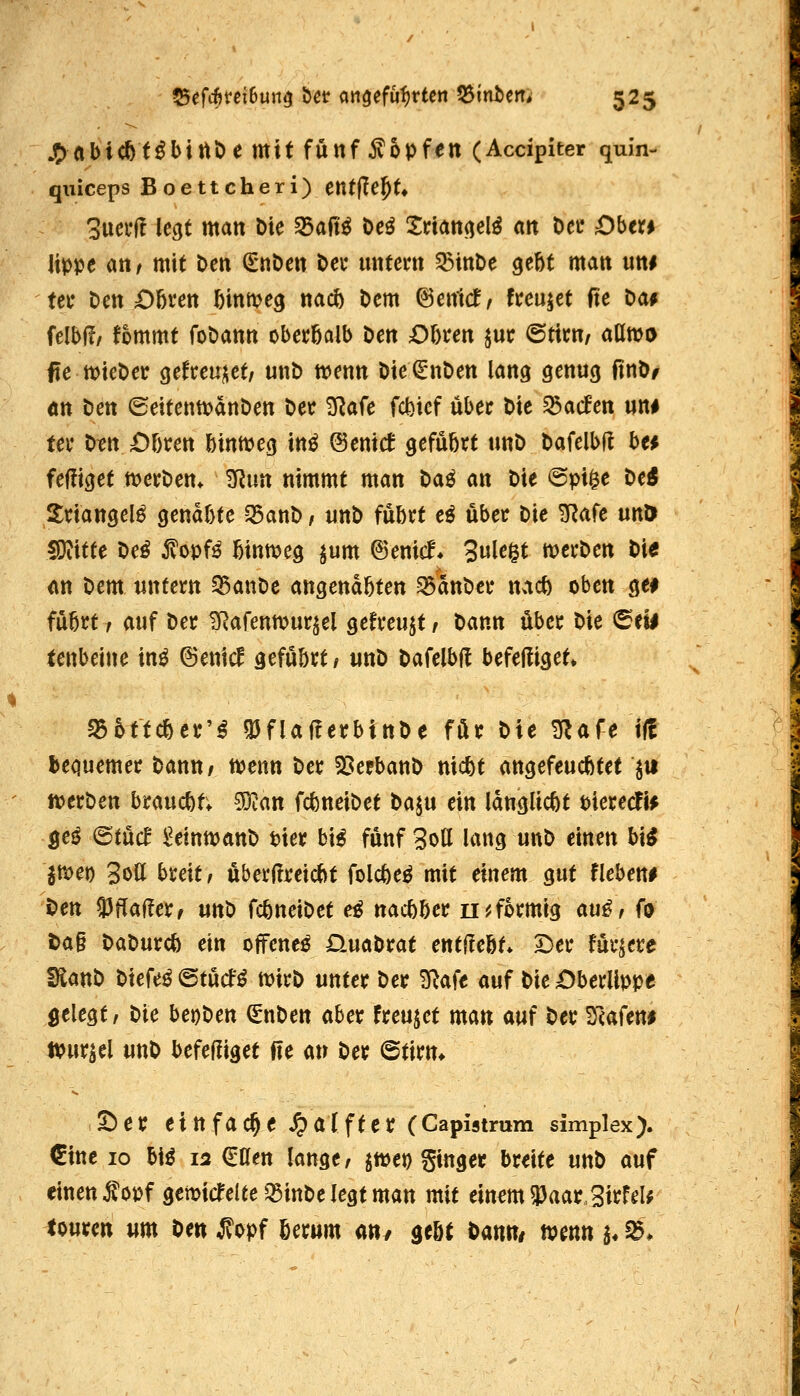 JJnbiC^t^binöe mit fünf topfen (Accipiter quin- qiiiceps Boettcheri) entfielt» 3ucrl! legt matt Die S5aftö beö trtatttielö ait Dec Obcti lippe an/ mit ben (gnben Oec untern 5ßint>e gebt man um tet* Den Obren binn^eg nacb Dem ^enldr freutet fte Da^ UM, fommt foDann obetbalb Den Dlmn $uc (5txtn, aömo fie tt)ieDei: cjefceui^et/ unD wenn Die^nDen lang genug ftnDf an Den (5eitenn?dnDen Dec ^afe fcfeicf über Die ^aden un# tev Dtn Obren bintt)eg in^ ©enicf gefübtt unD Dafelbft be* feffiget n?erDen. '^un nimmt man Daö an Die ©pi^e Dei Sviangel^ gendbte ^anD / unD fübrt eö über Die ^ak untf fOiitte De^ 5?opf^ binnjeg ^um ©enid* Sulegt merDen Die an Dem unfern 33anDe angendbten ^dnDcr nacb oben gei fubrt, auf Der ü^afenwurjel getreust, Dann über Die (Seil tenbeine in^ ©enic? gefubrtf unD Dafelbl! befeüiget» q56ttcber'^ Q5flalterbittDe för Die ^afe iff bequemer Dann/ tt?enn Der 23eFbanD nicbt angefeuchtet ^u tt?erDen bxaufJiit 53ian fcbneiDet Daju ein Idnglicbt tierecfif öe^ (5tM Umtt>an^ tier bi^ fünf 3oll lang unD einen bi^ Itoct) 3o(l breit / uberllreicbt folcbe^ mit einem gut fleben# Den 33flal!er/ unD fcbneiDet e^ nacbber n^förmig au^, (9 öa§ DaDurcb cm offene^ 0uaDrat cntücht* I)C): fördere EanD Diefe^@tucf^ \mt> unter Der Sla^c auf Die Oberlippe gelegt/ tk beijDen €nDen aber freujet man auf Der ^(aUn$ ipurjel unD befefliget fte an Der ©tirn* S)er einfache ^aiftcr (Capistmm simplex). €ittc 10 bi^ 12 €nen lange/ jttjet) ginget breite unD auf einen Jl^opfgemicfelee^ittDe legt man mit einem ^aar.SirfeU touren um Den ^opf berum a«/ gebt Dann/ ivenn a« ^*